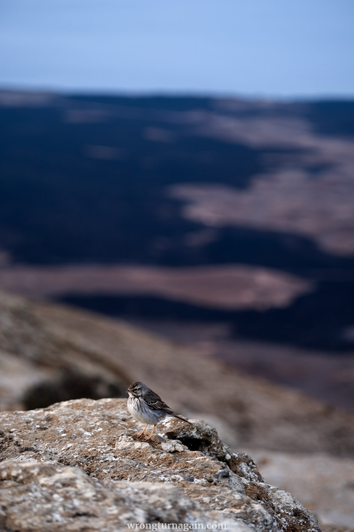 ES Caldera Blanca DSF0322