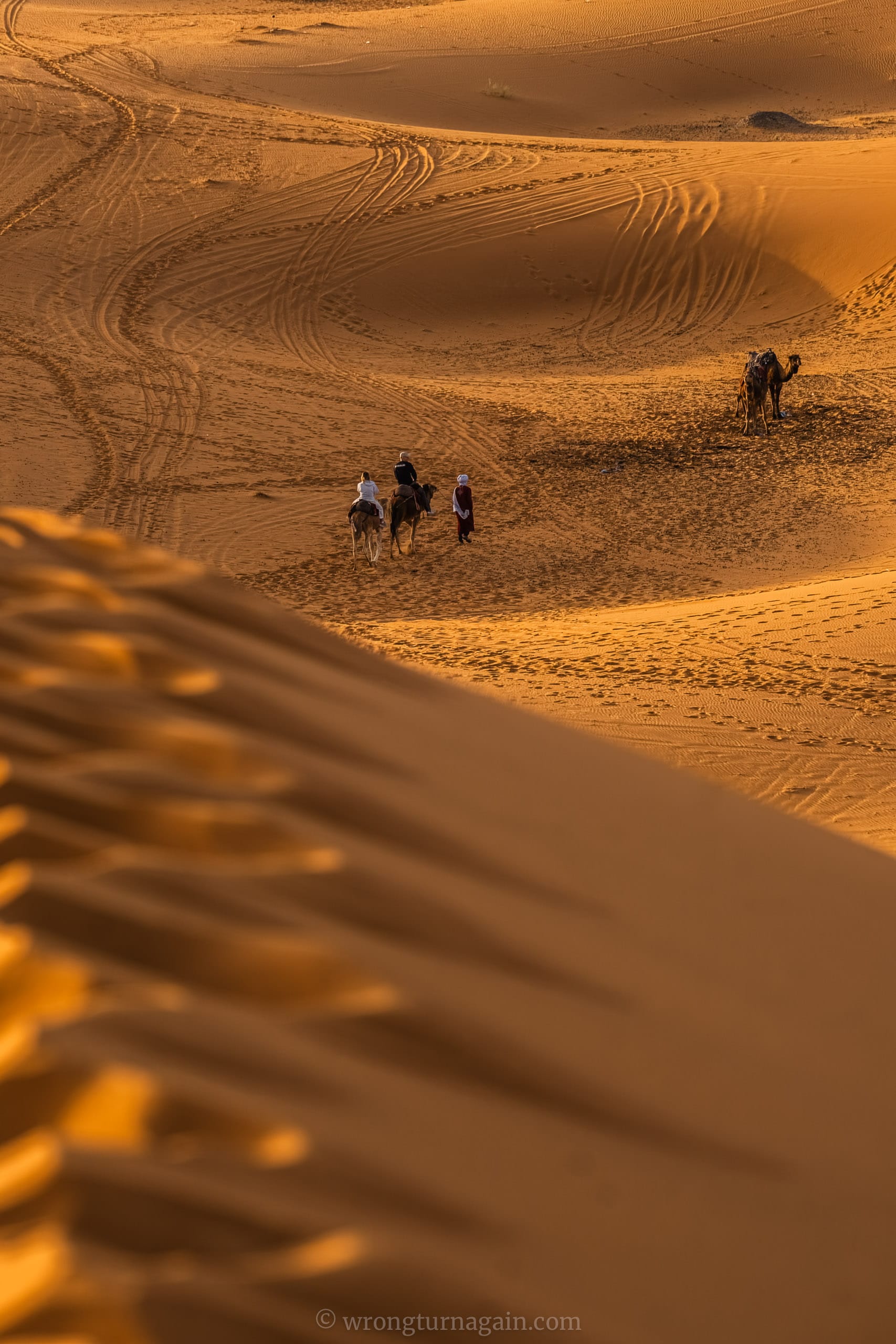 guide to merzuga sahara desert diy