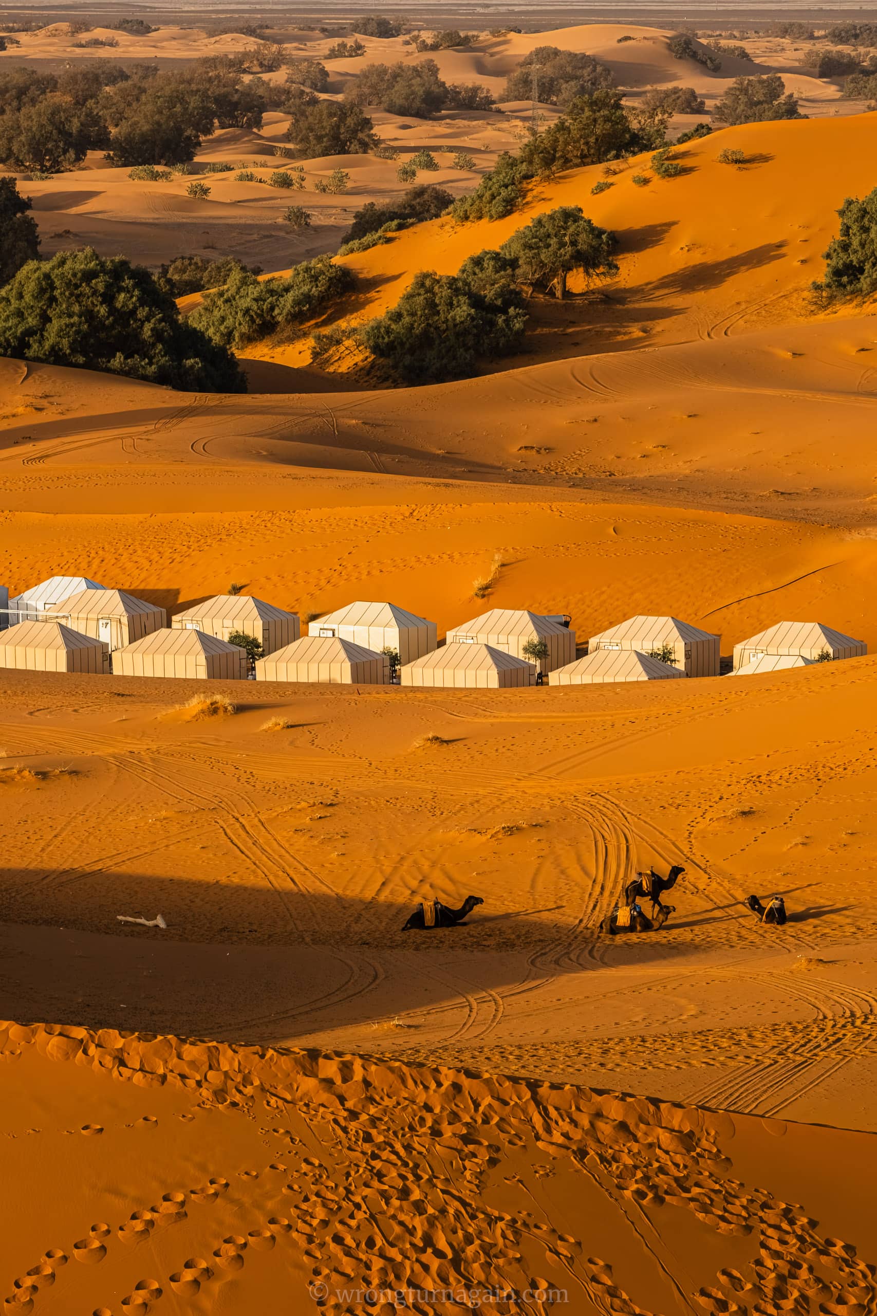guide to merzuga sahara desert diy