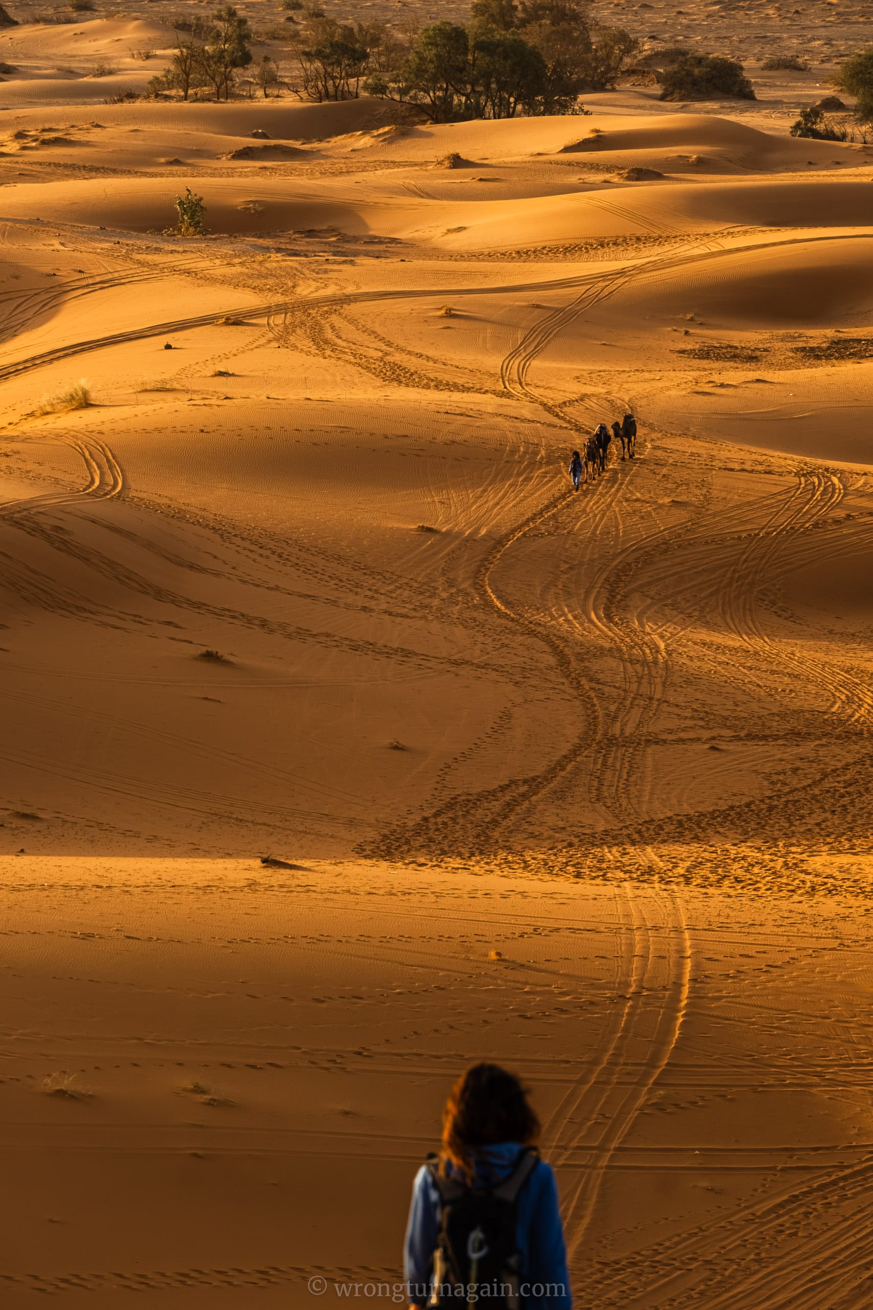 guide to merzuga sahara desert diy