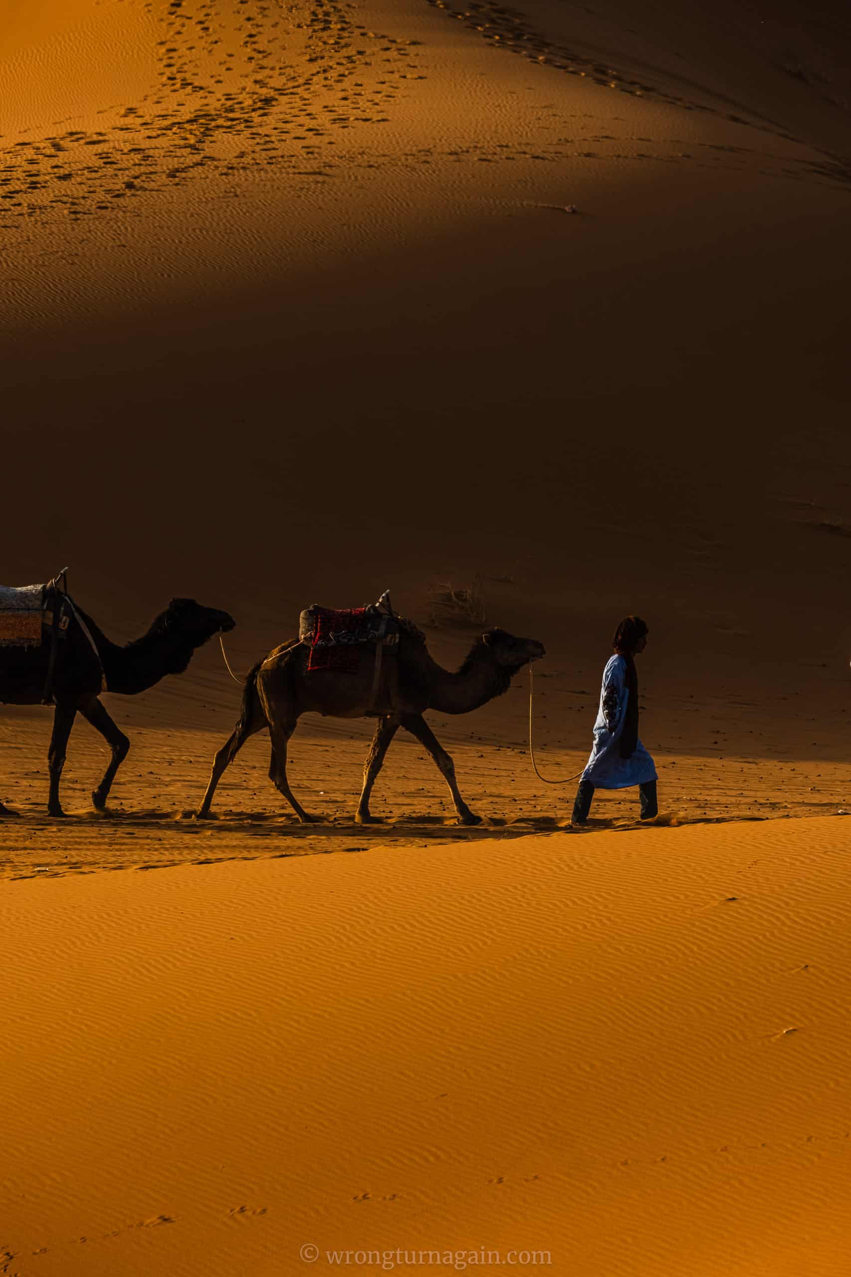 guide to merzuga sahara desert diy