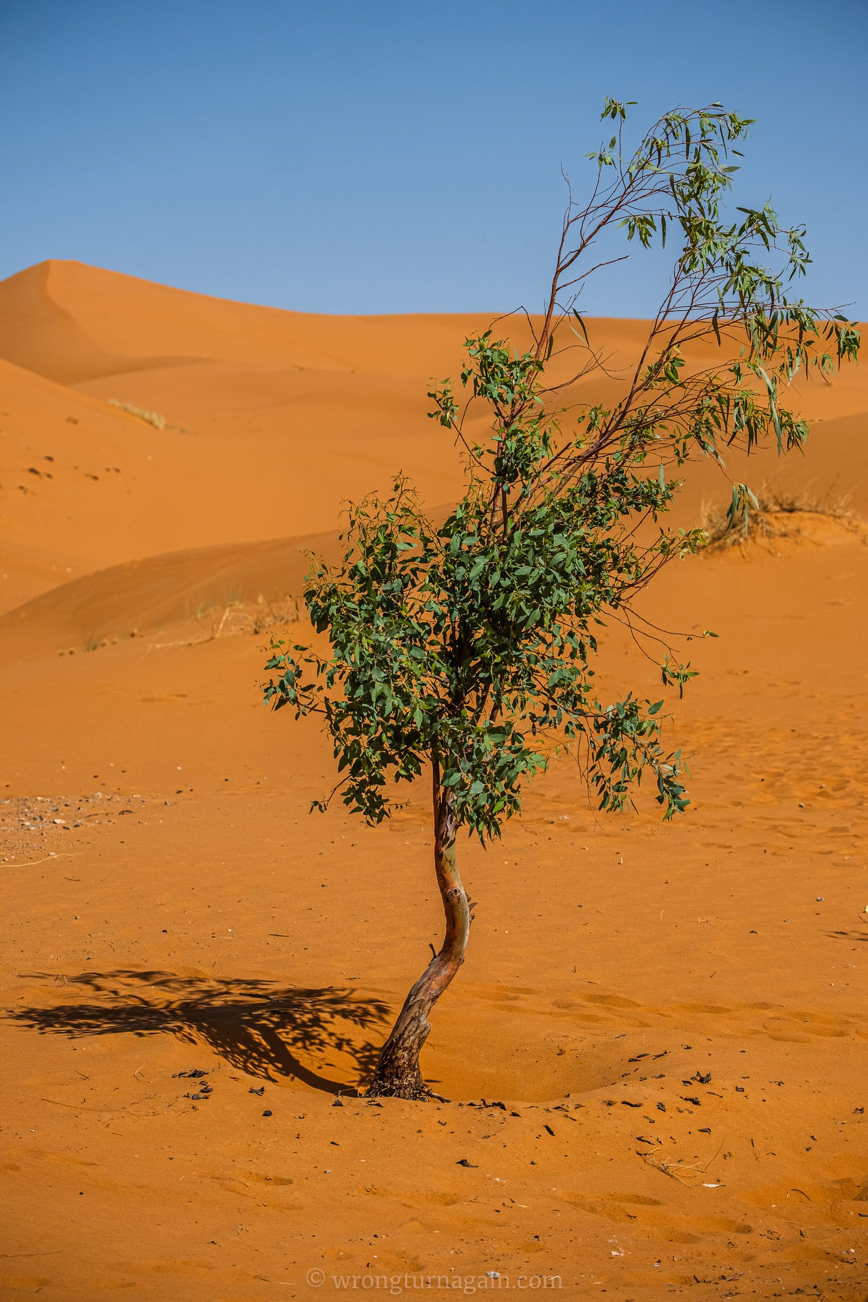 guide to merzuga sahara desert diy