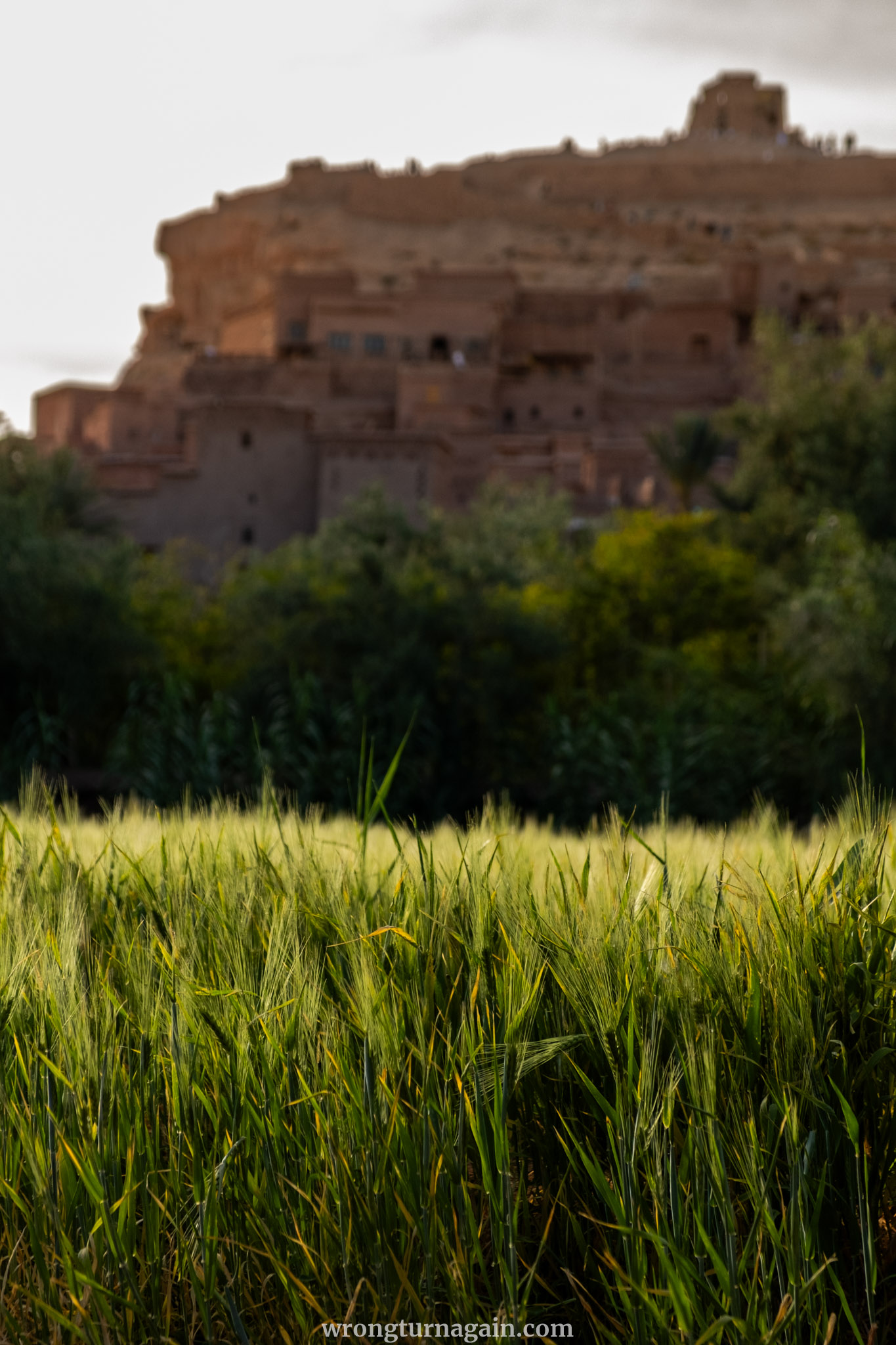 MA Ait Benhaddou DSF4586