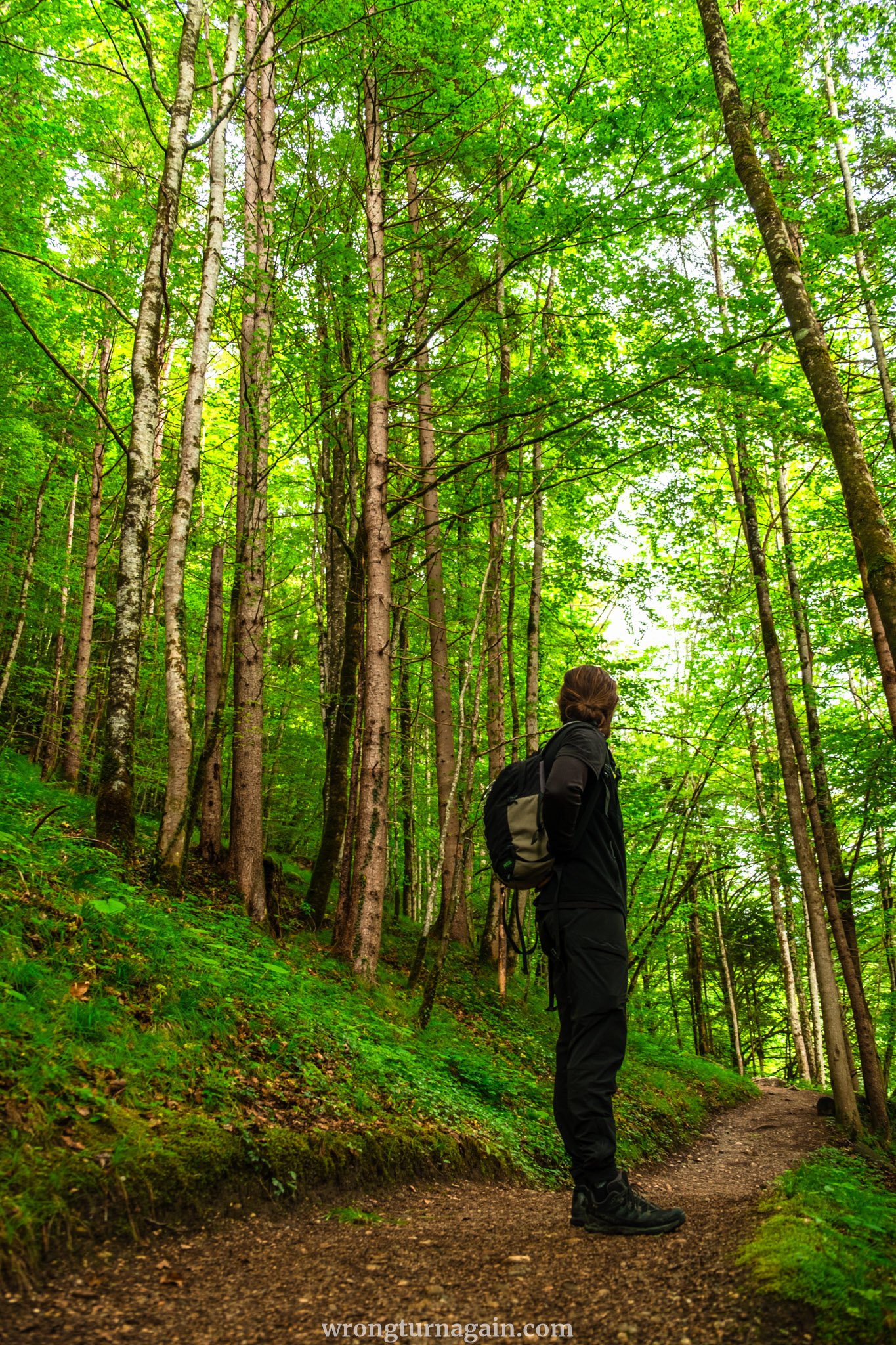 AT Tiefenbachklamm 15