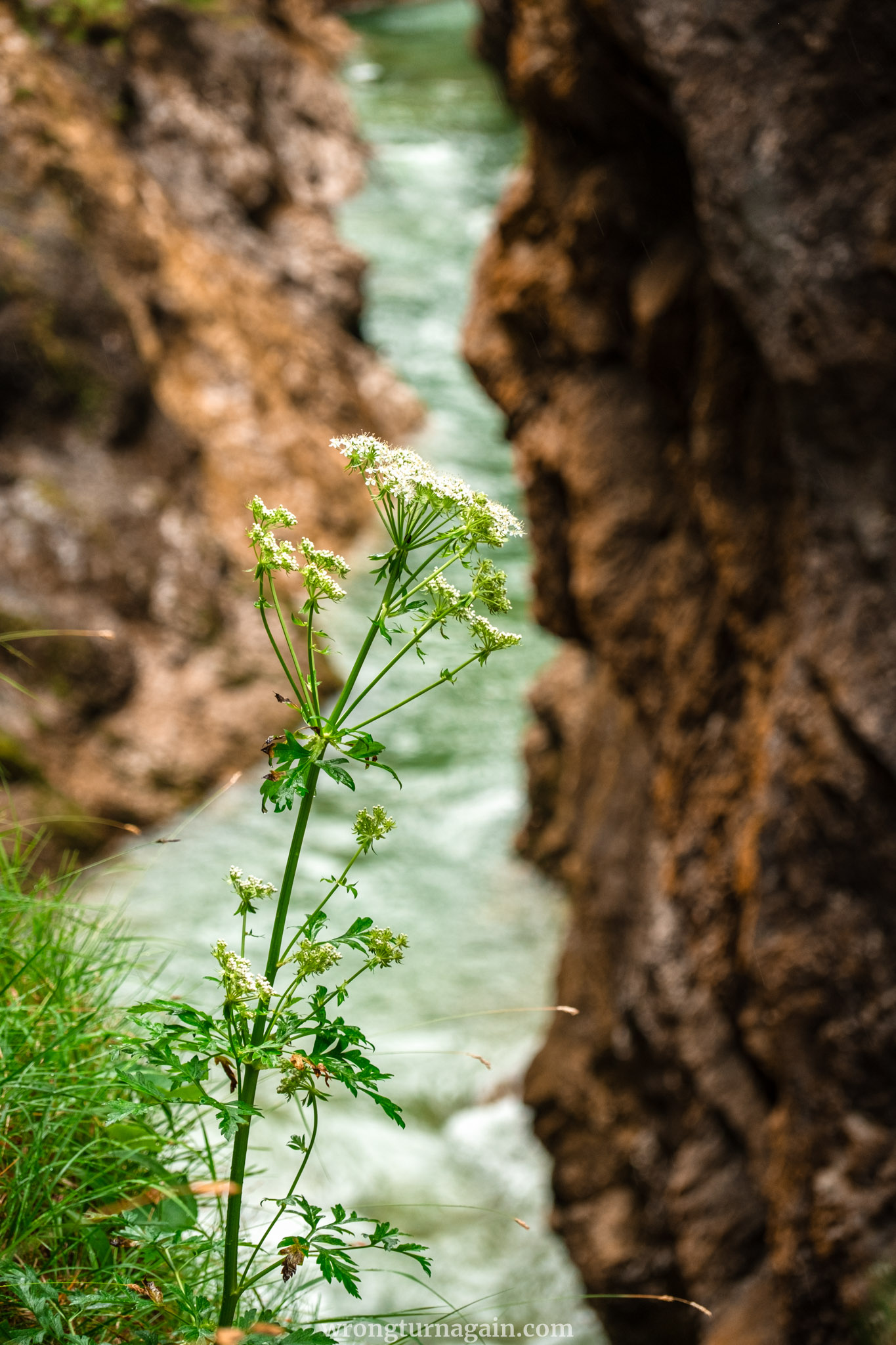 AT Tiefenbachklamm 50