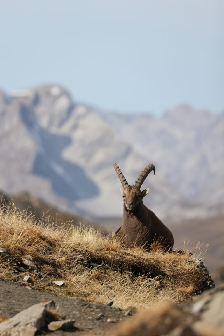 lukas scheuter K5meXDTWOc0 unsplash