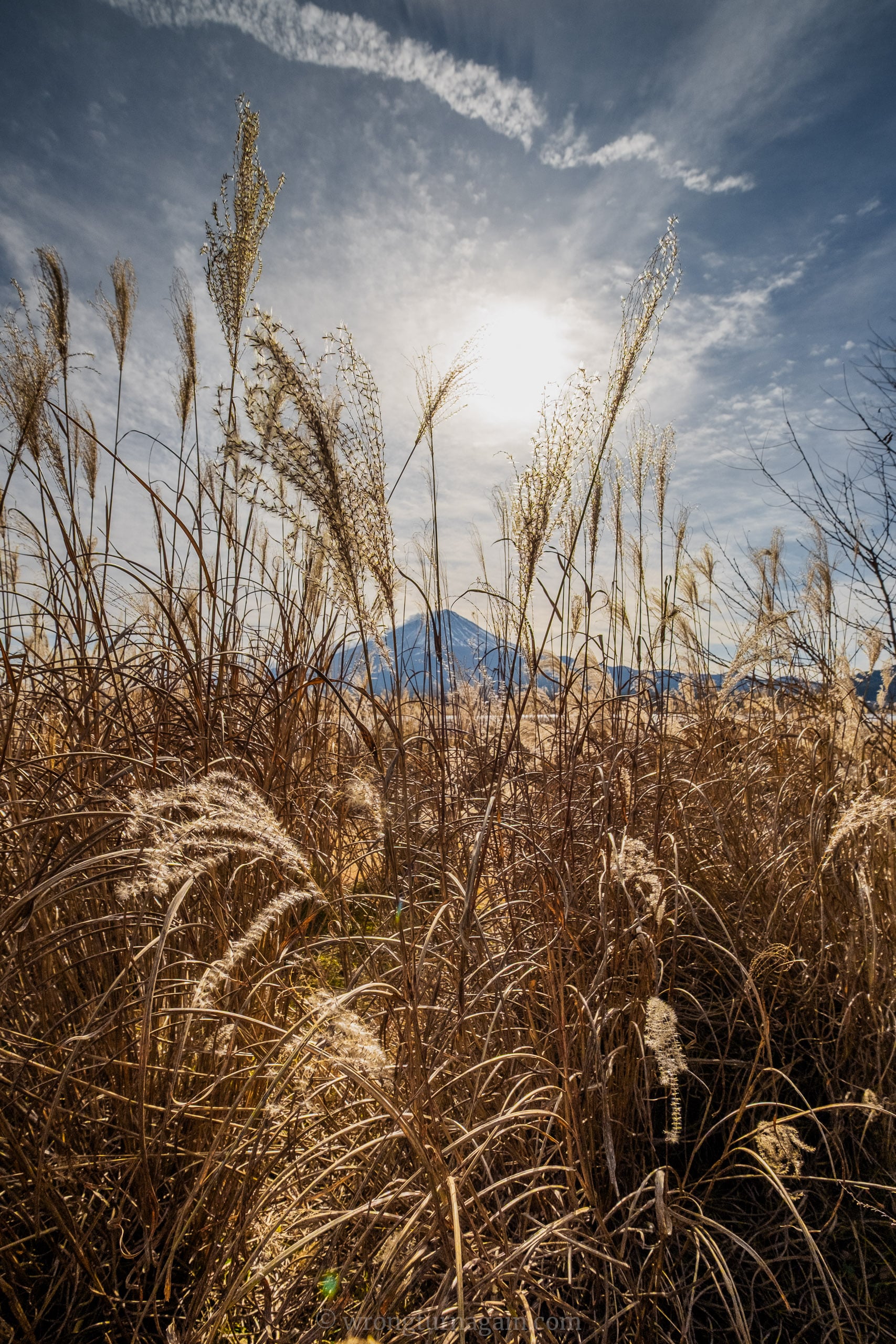 things to do daytrip mount fuji