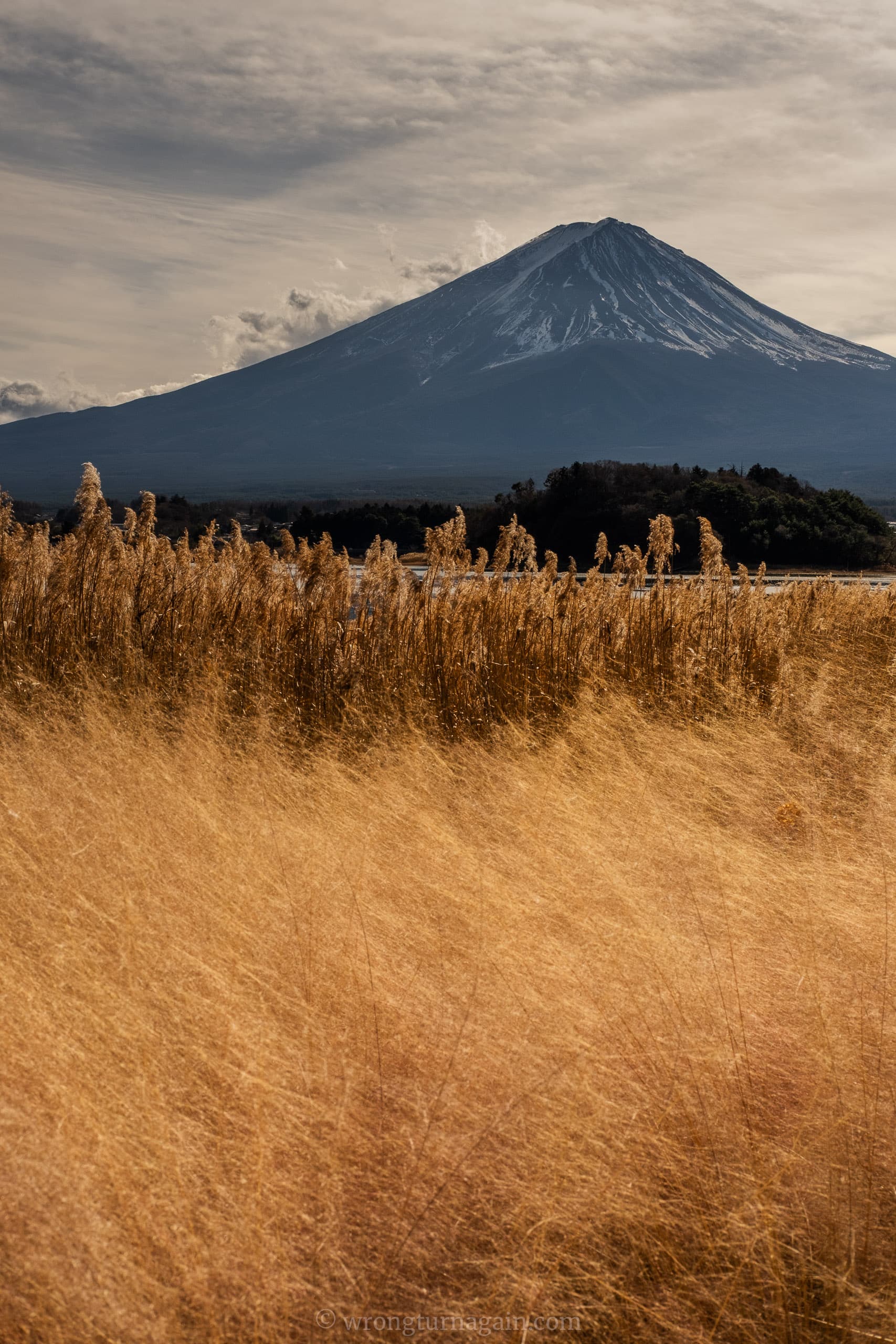 mount fuji oishi park