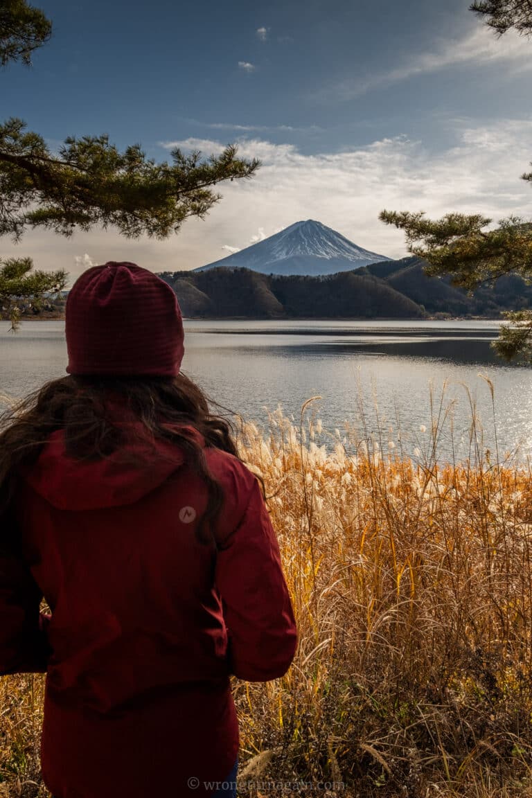 Aokigahara Forest & Lava Caves