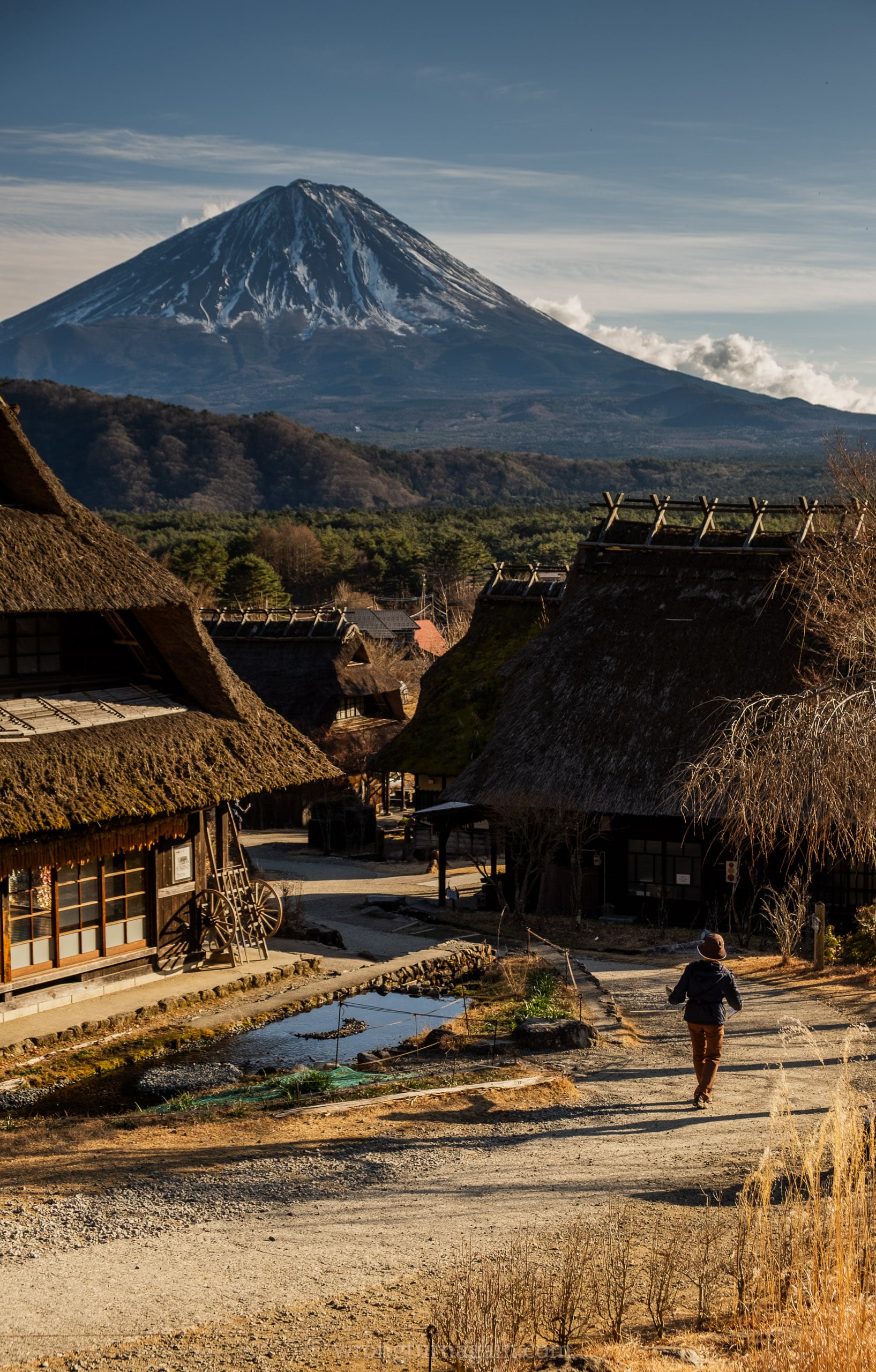saiko iyashi mount fuji