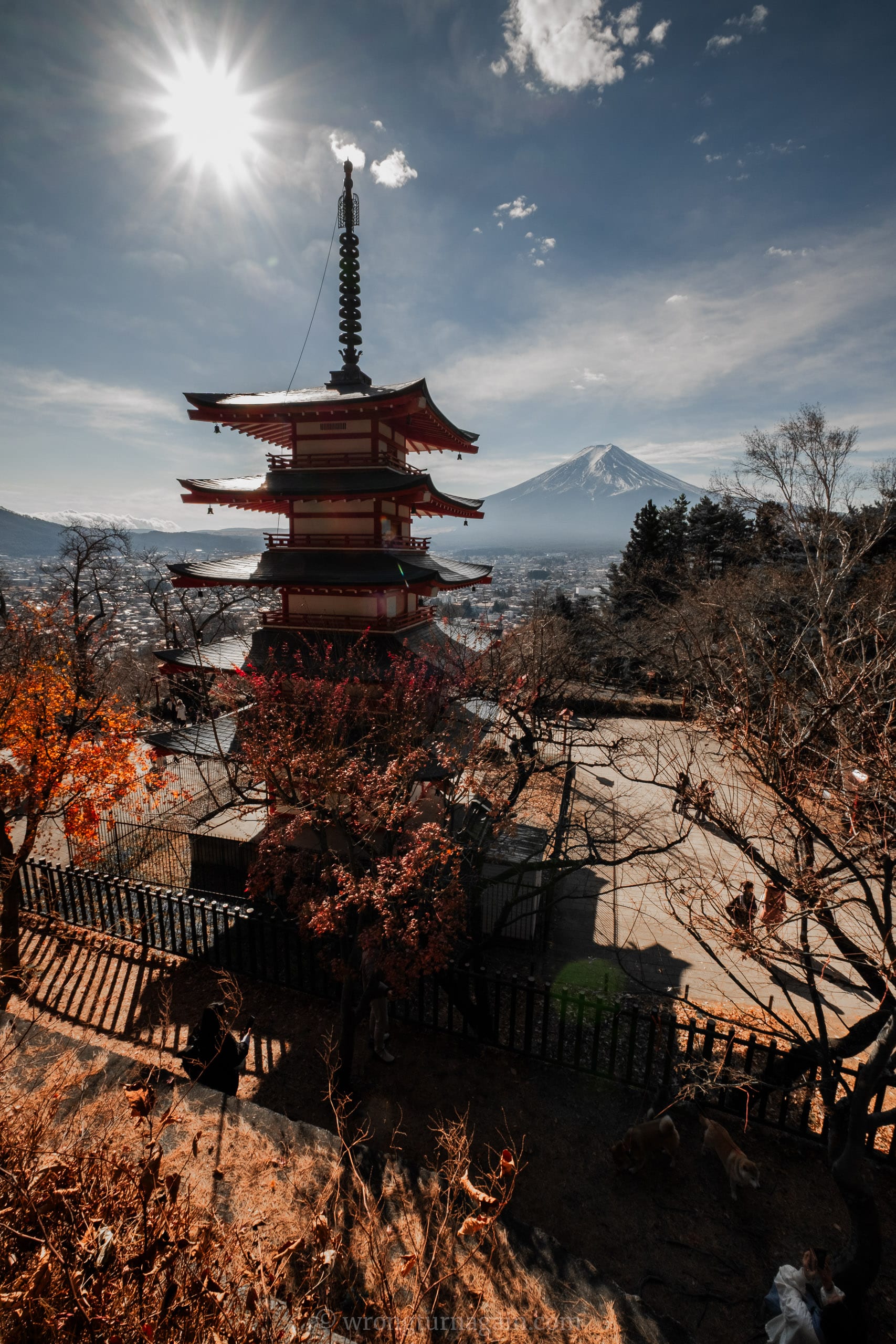mount fuji chureito pagoda