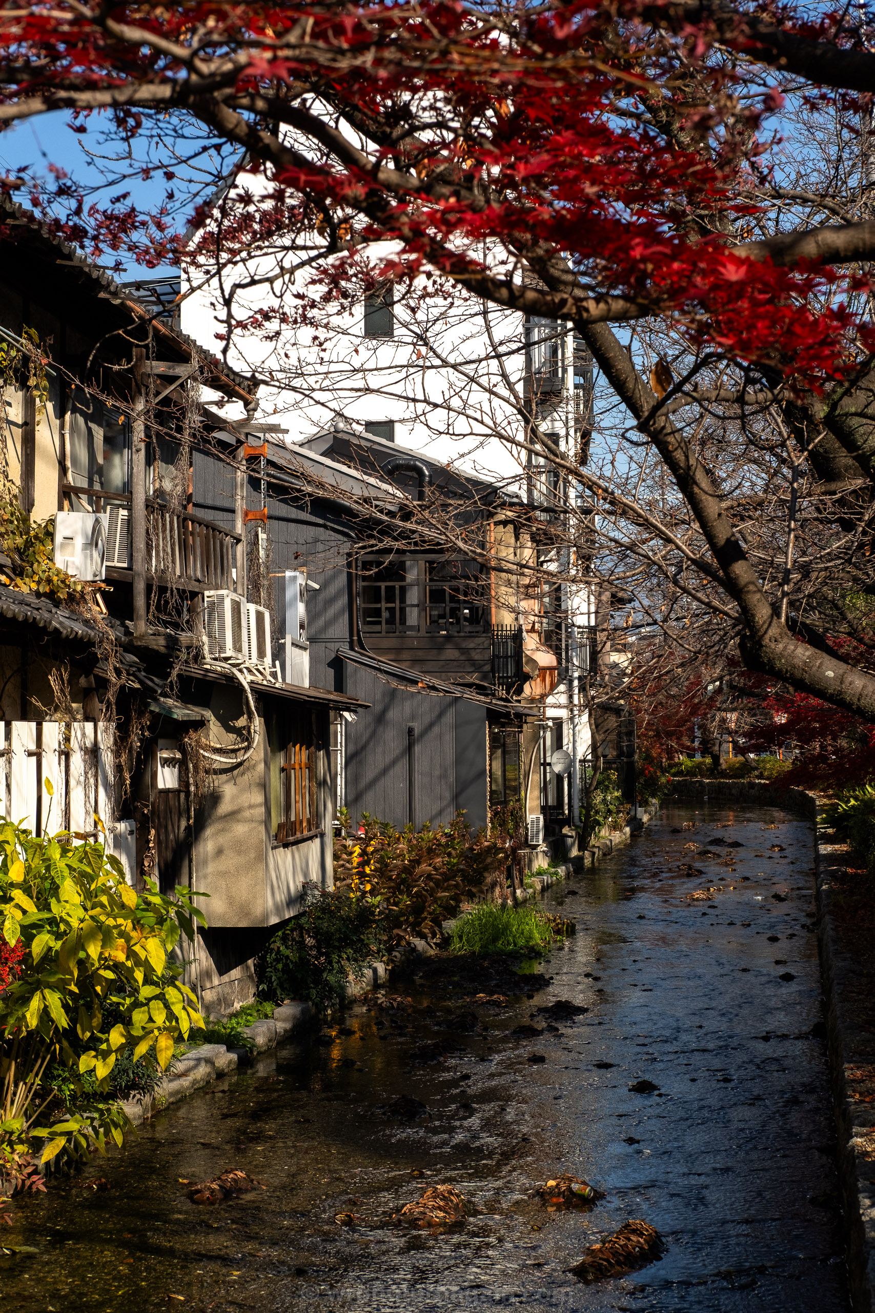 10 Best Things to Do in Kyoto: The Ultimate First-Timer’s Guide 34 DSF6776