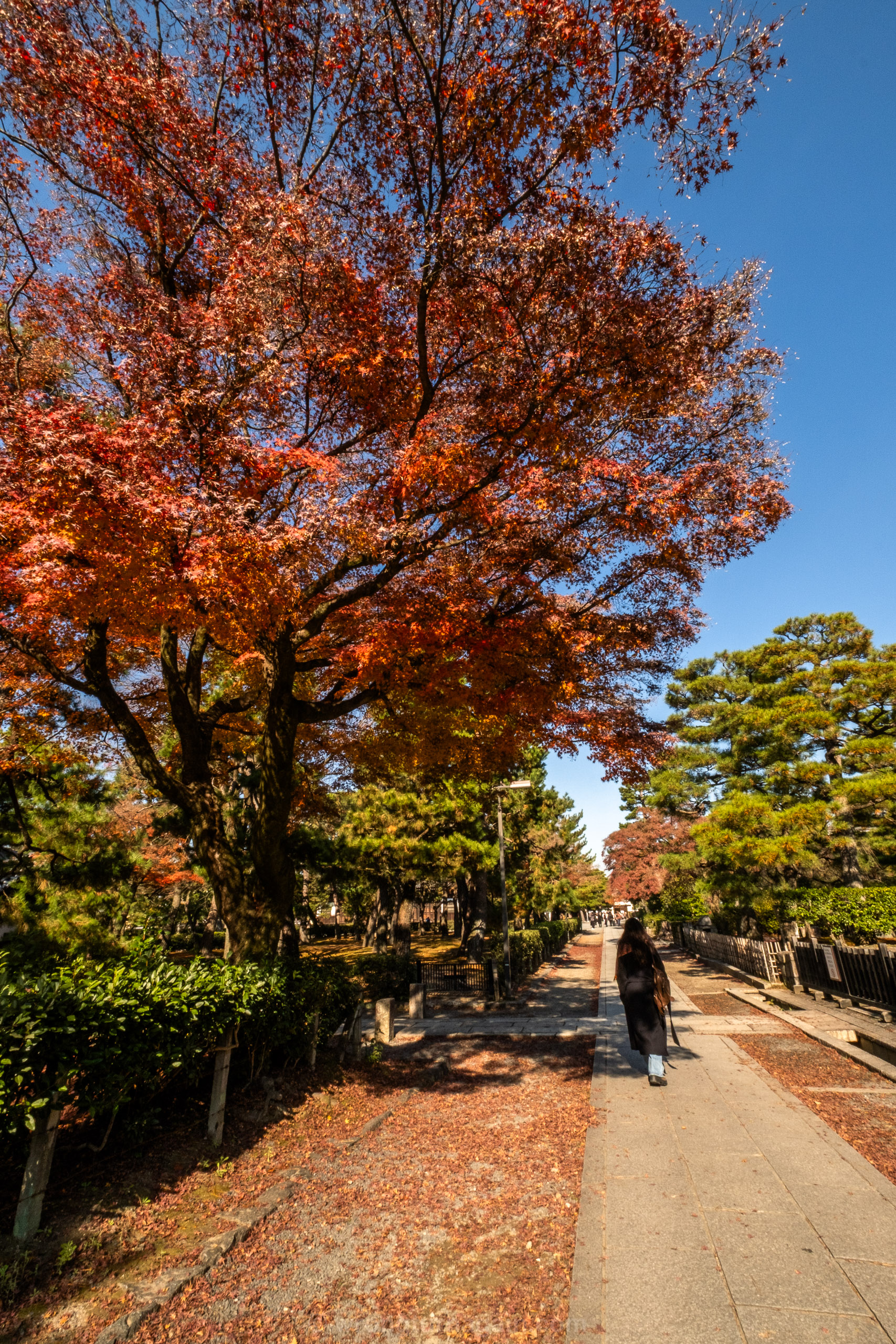 10 Best Things to Do in Kyoto: The Ultimate First-Timer’s Guide 47 DSF6811