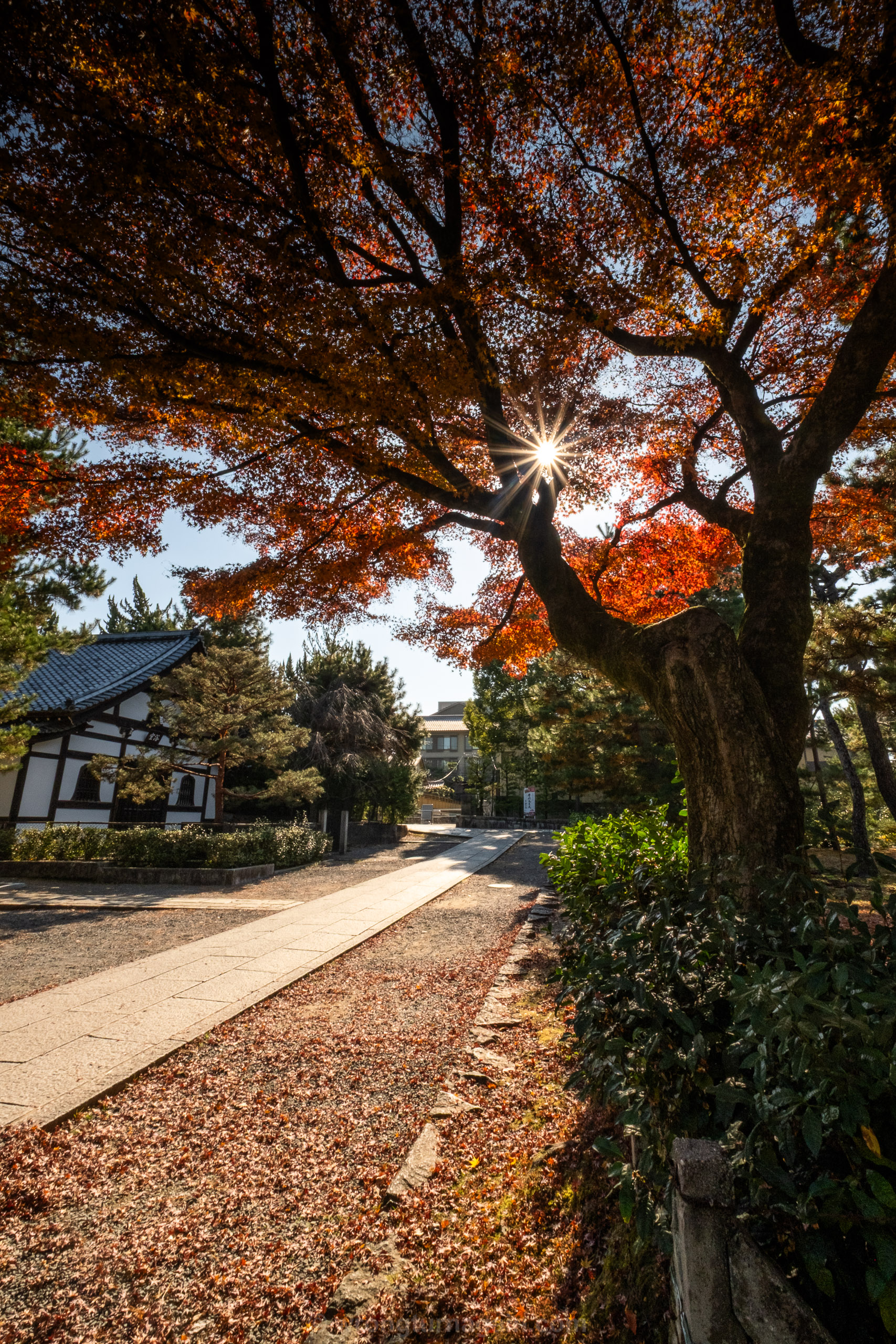 10 Best Things to Do in Kyoto: The Ultimate First-Timer’s Guide 17 DSF6818