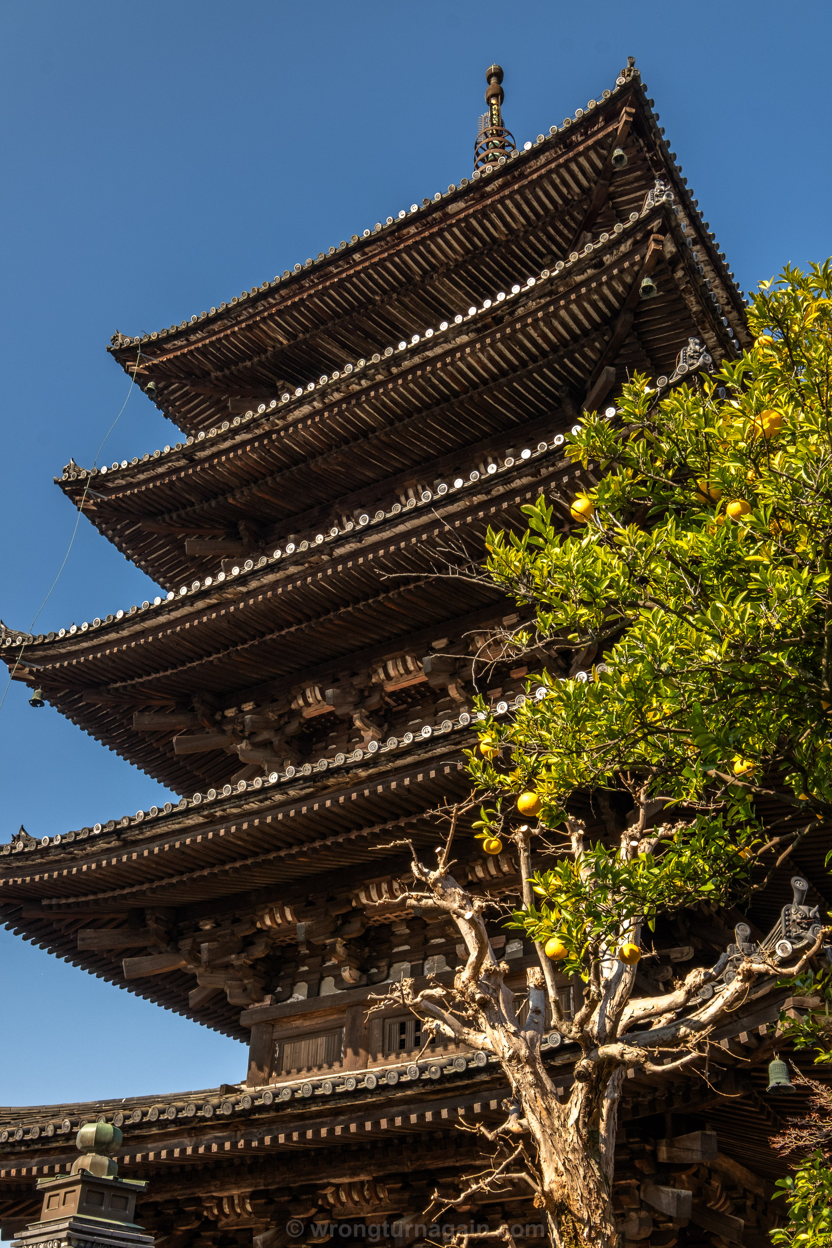 10 Best Things to Do in Kyoto: The Ultimate First-Timer’s Guide 25 DSF6910
