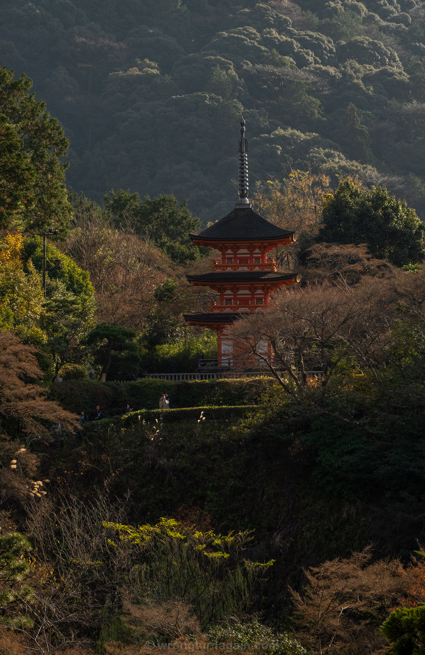 10 Best Things to Do in Kyoto: The Ultimate First-Timer’s Guide 49 DSF7021