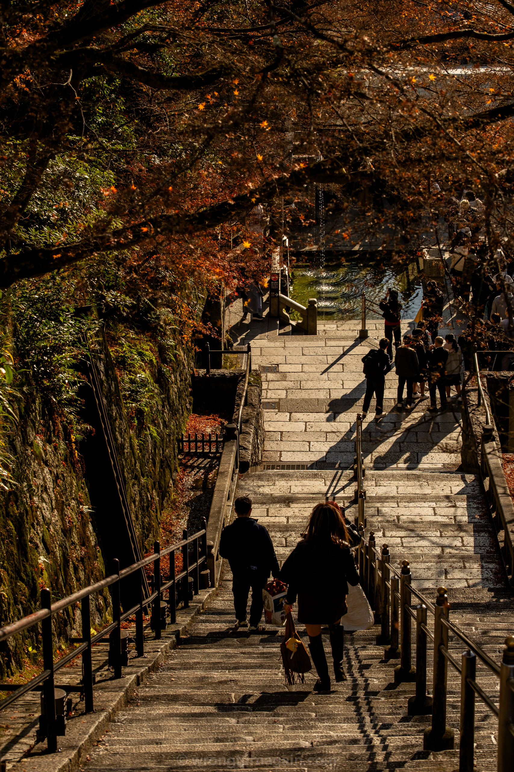10 Best Things to Do in Kyoto: The Ultimate First-Timer’s Guide 84 DSF7035