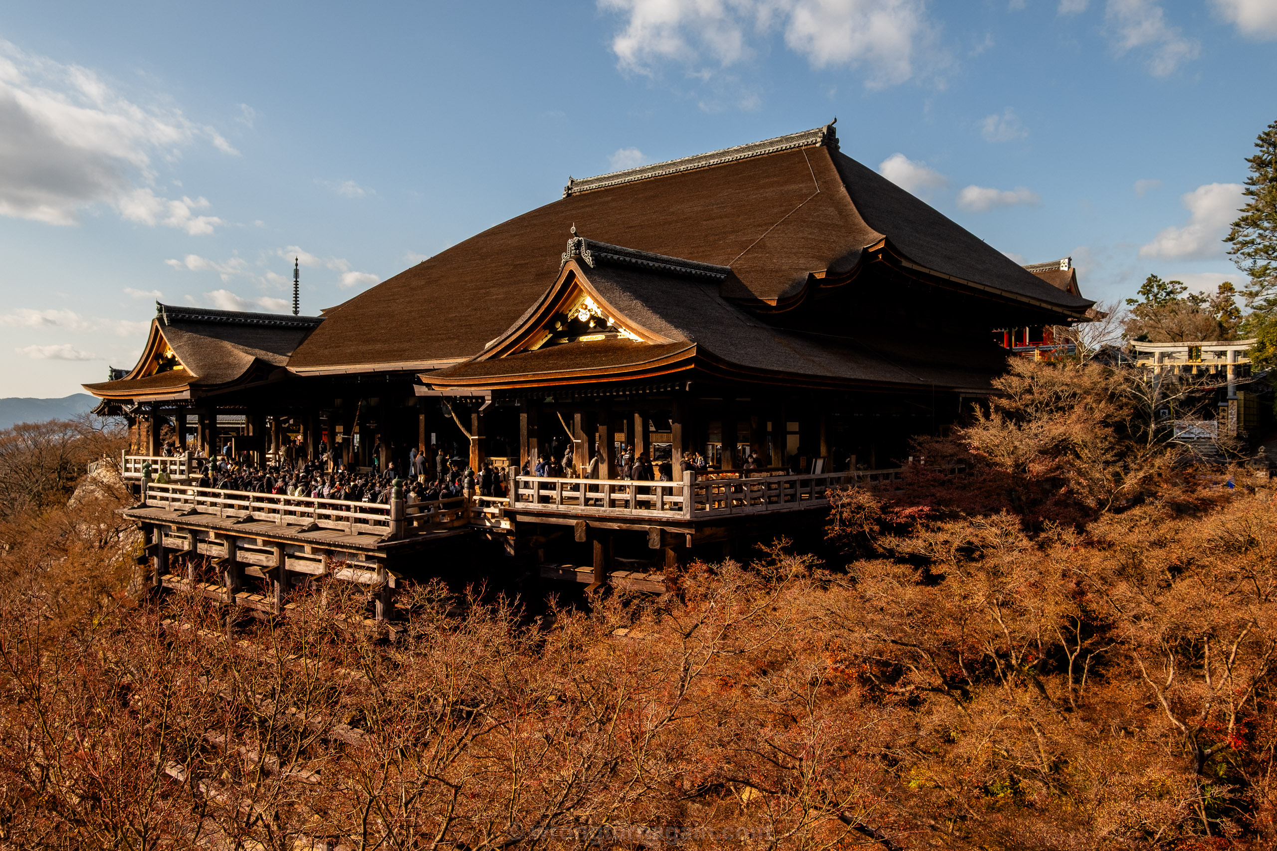 10 Best Things to Do in Kyoto: The Ultimate First-Timer’s Guide 41 DSF7055