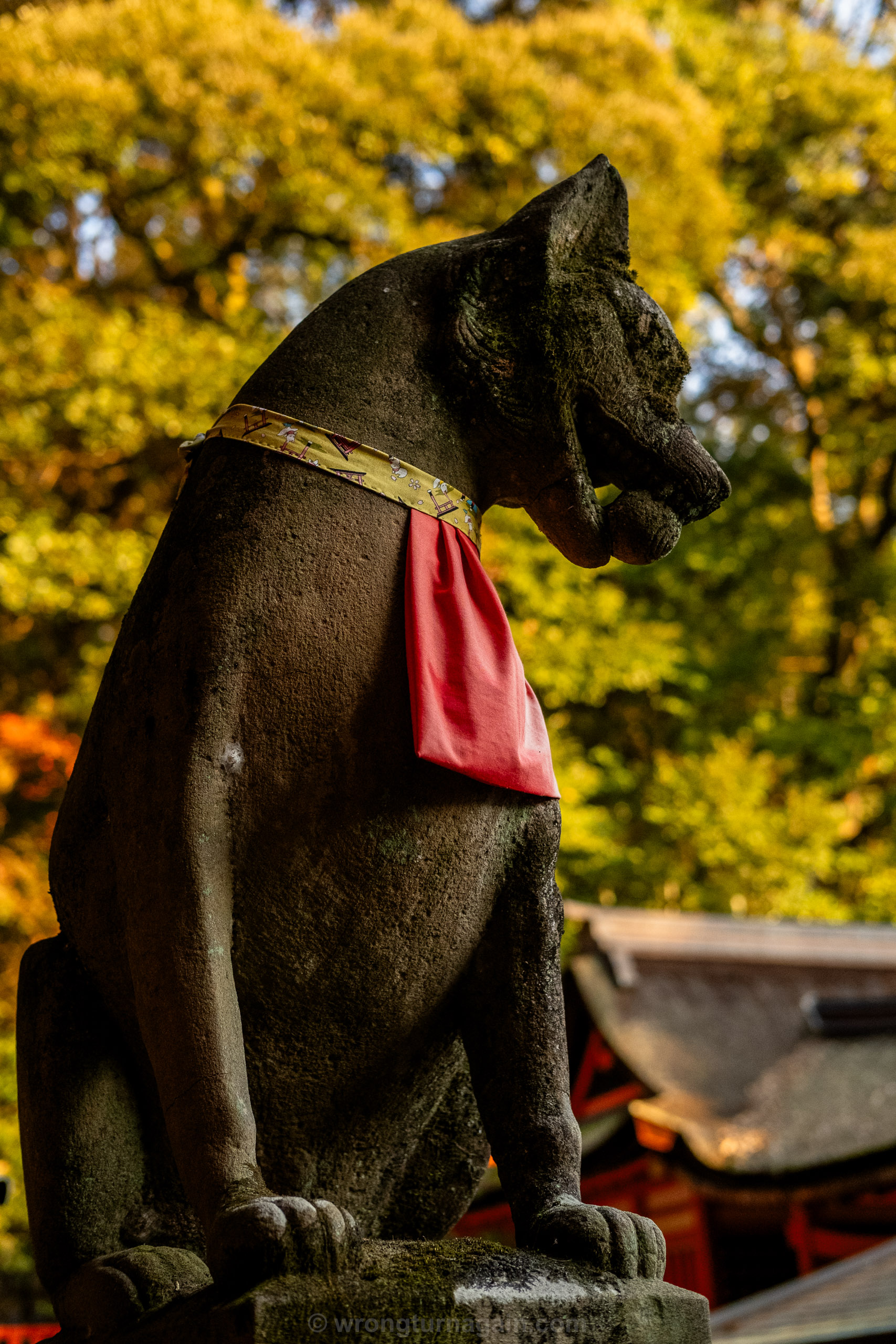 10 Best Things to Do in Kyoto: The Ultimate First-Timer’s Guide 13 DSF7131