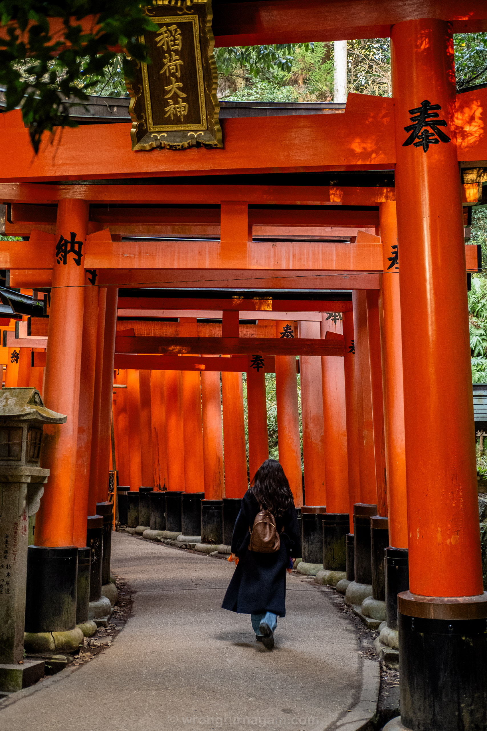 10 Best Things to Do in Kyoto: The Ultimate First-Timer’s Guide 19 DSF7142