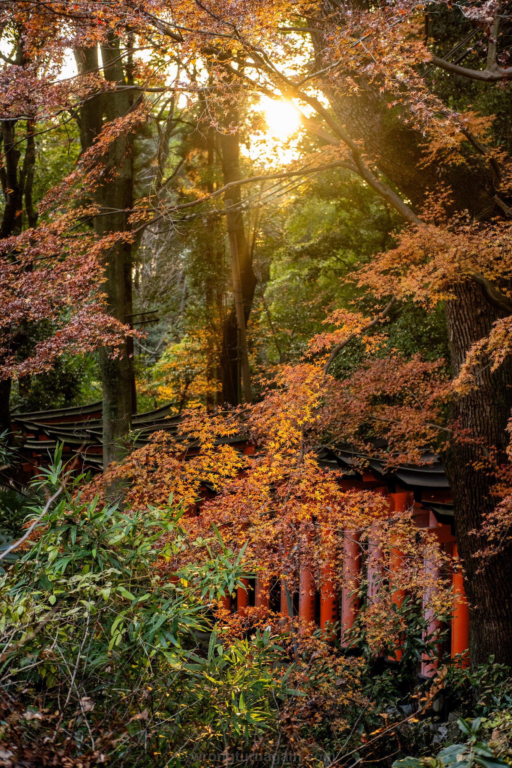 10 Best Things to Do in Kyoto: The Ultimate First-Timer’s Guide 7 DSF7148