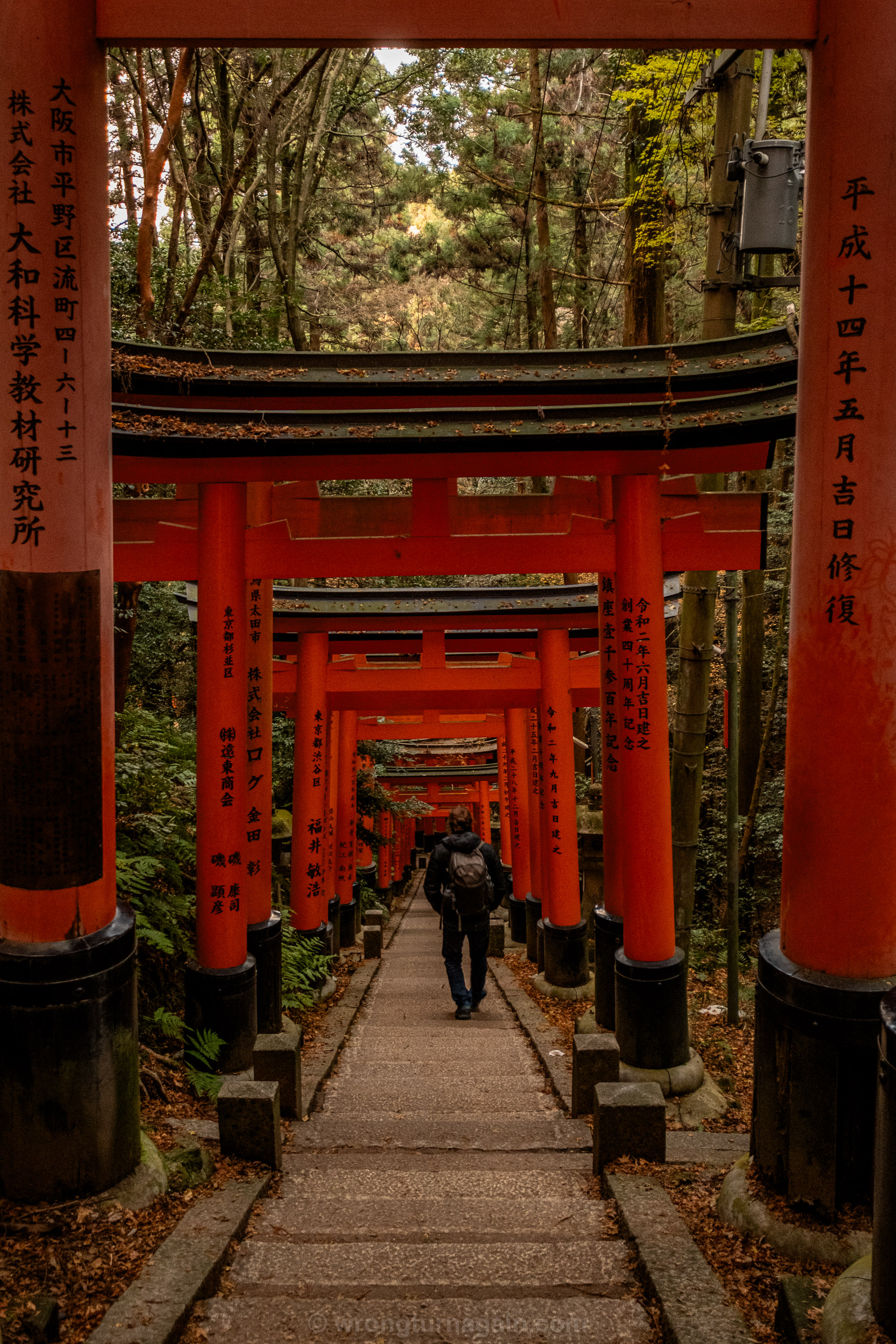 10 Best Things to Do in Kyoto: The Ultimate First-Timer’s Guide 14 Fushimi Inari Taisha
