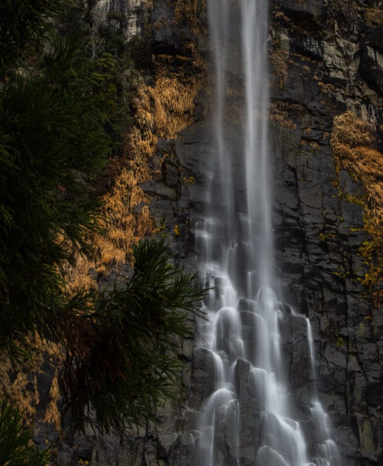 nachi falls travel guide
