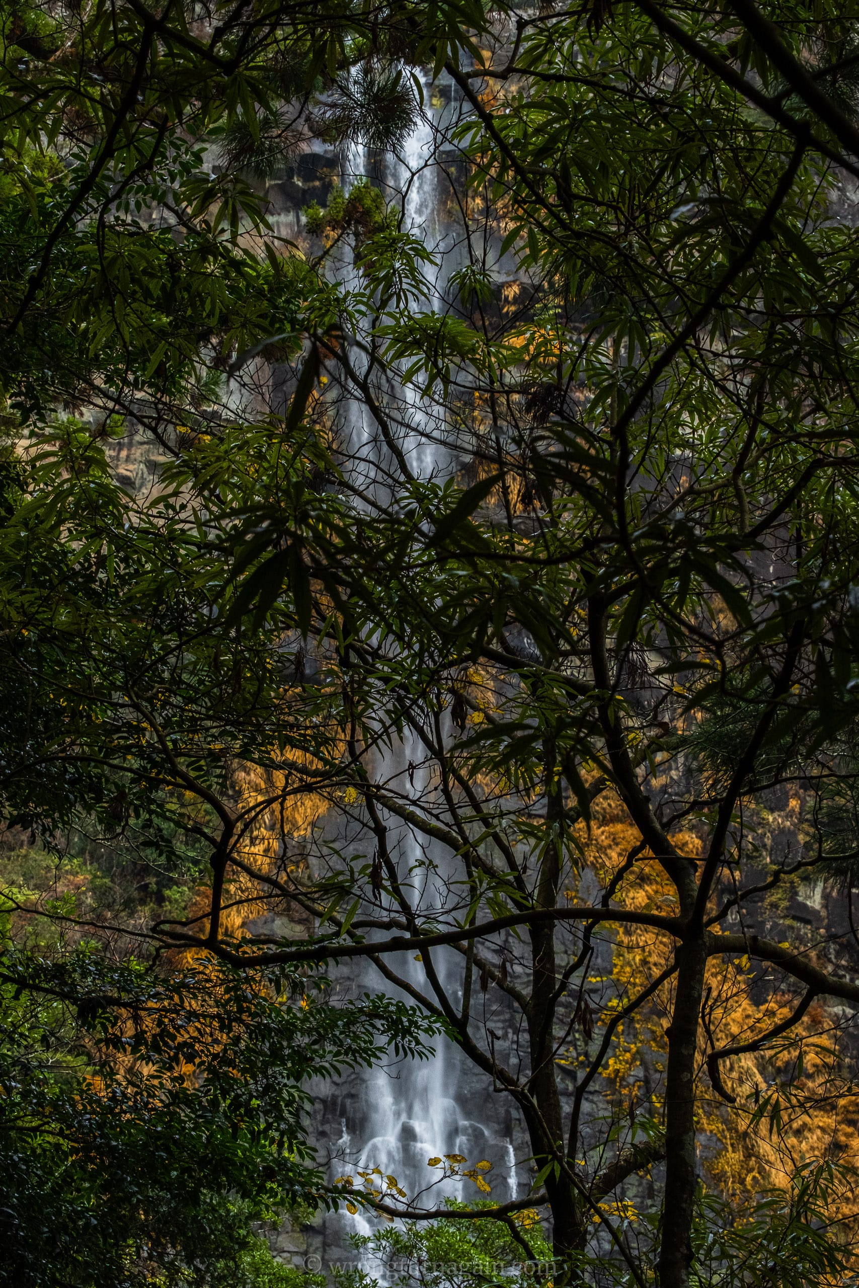 nachi waterfall