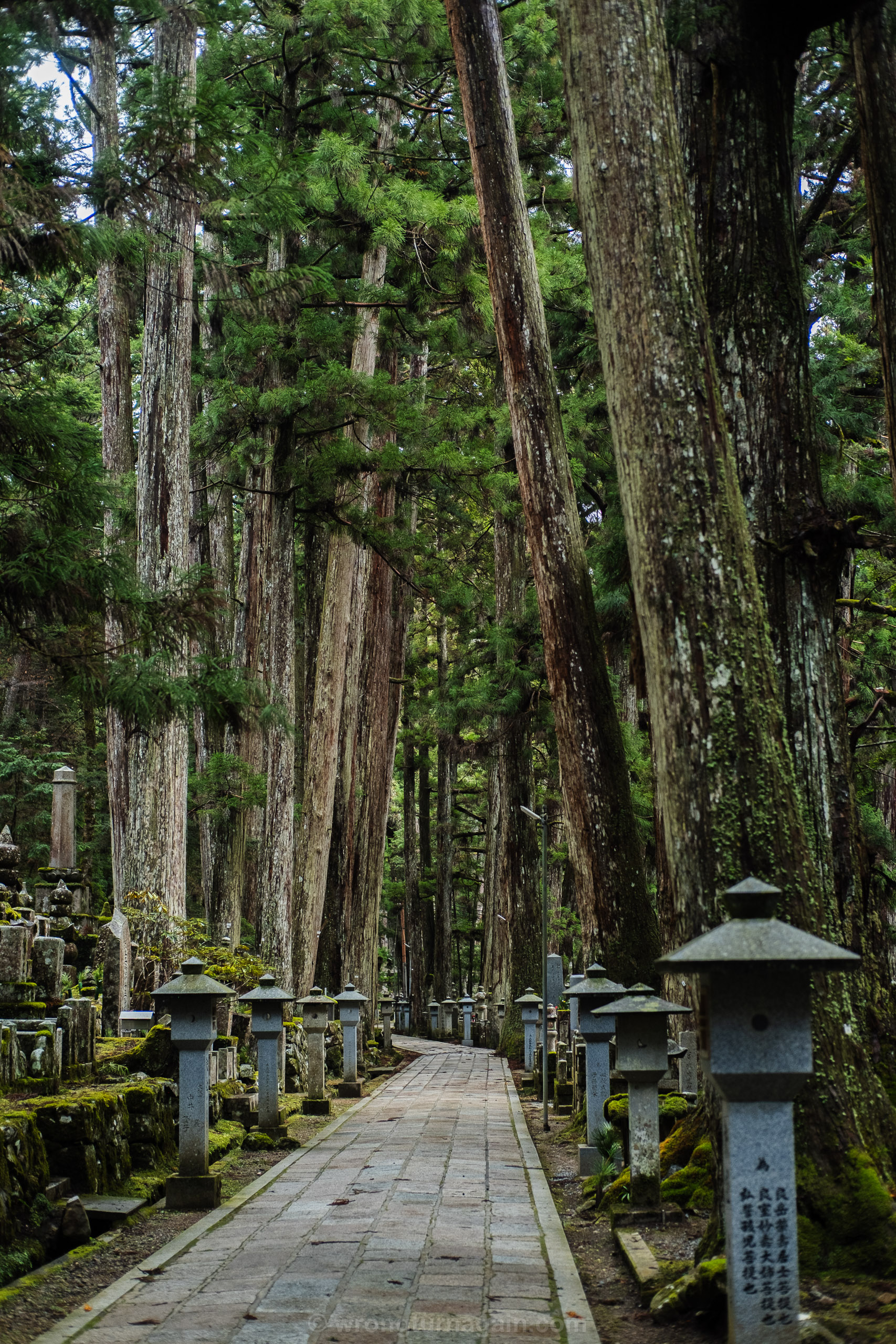 koyasan cemetery