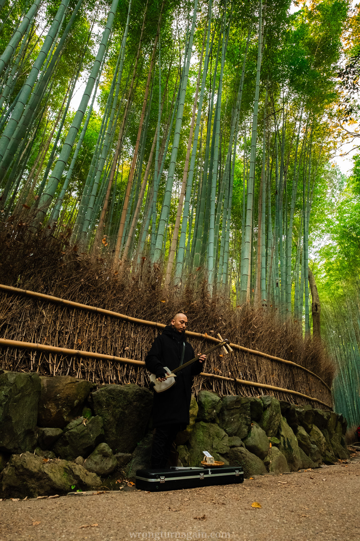 arashiyama bamboo forest photos