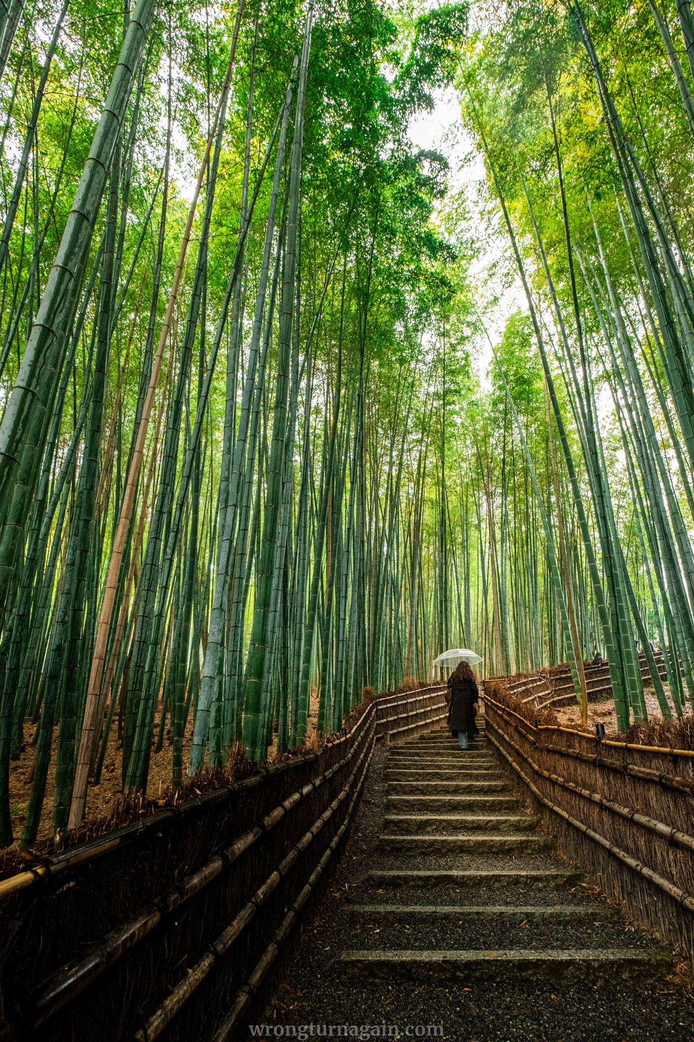 best things to do in arashiyama
