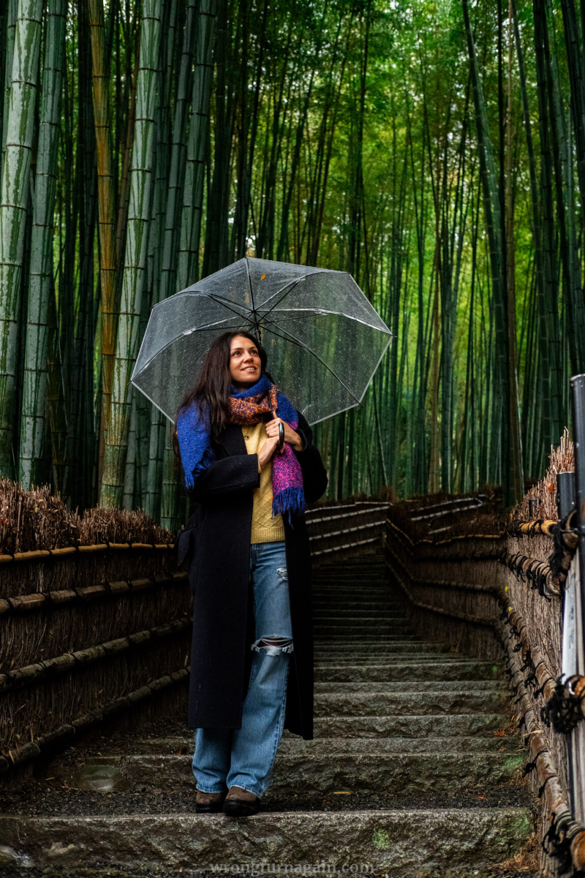 best things to do in arashiyama bamboo forest