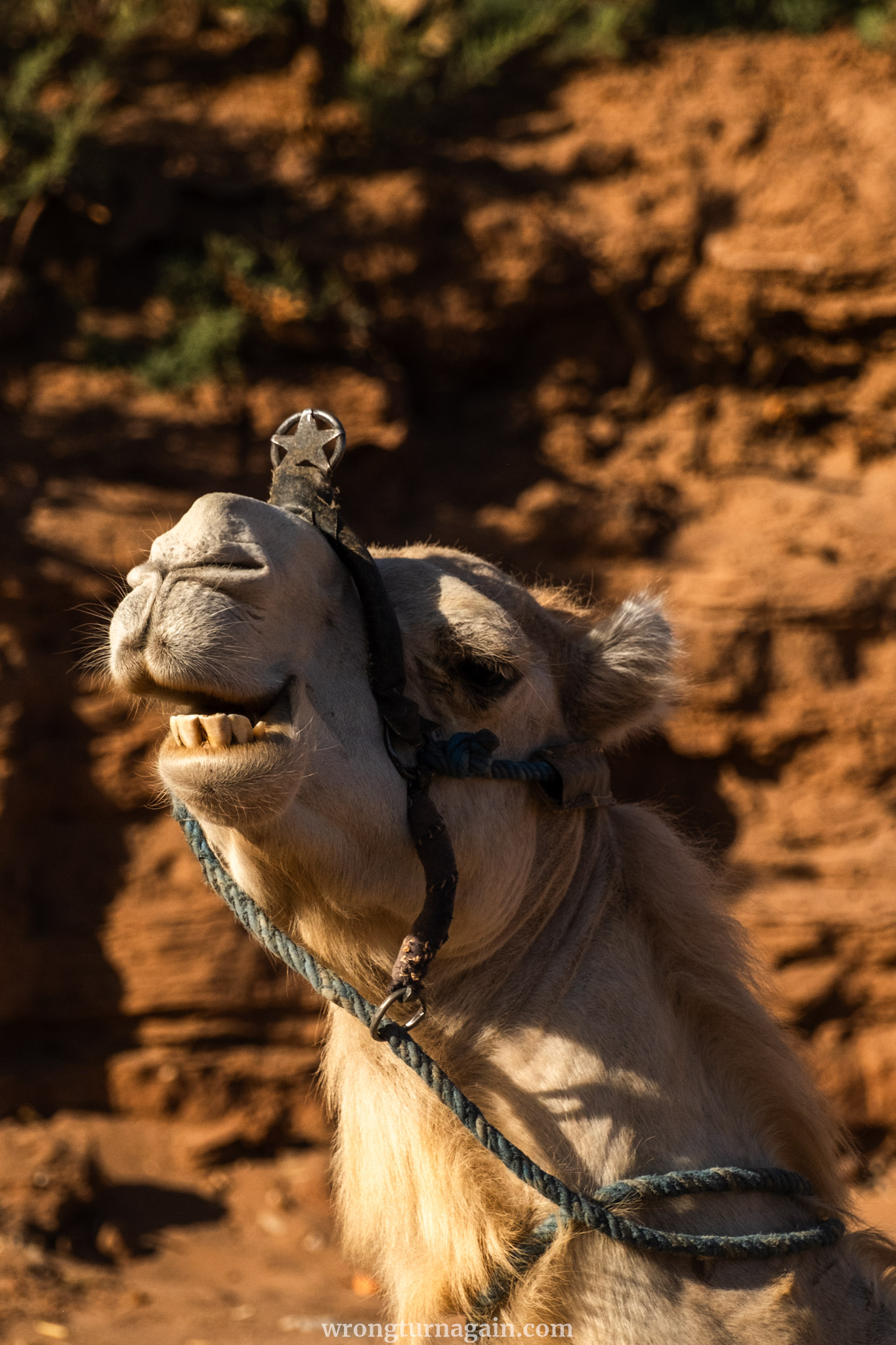 MA Ait Benhaddou DSF4537