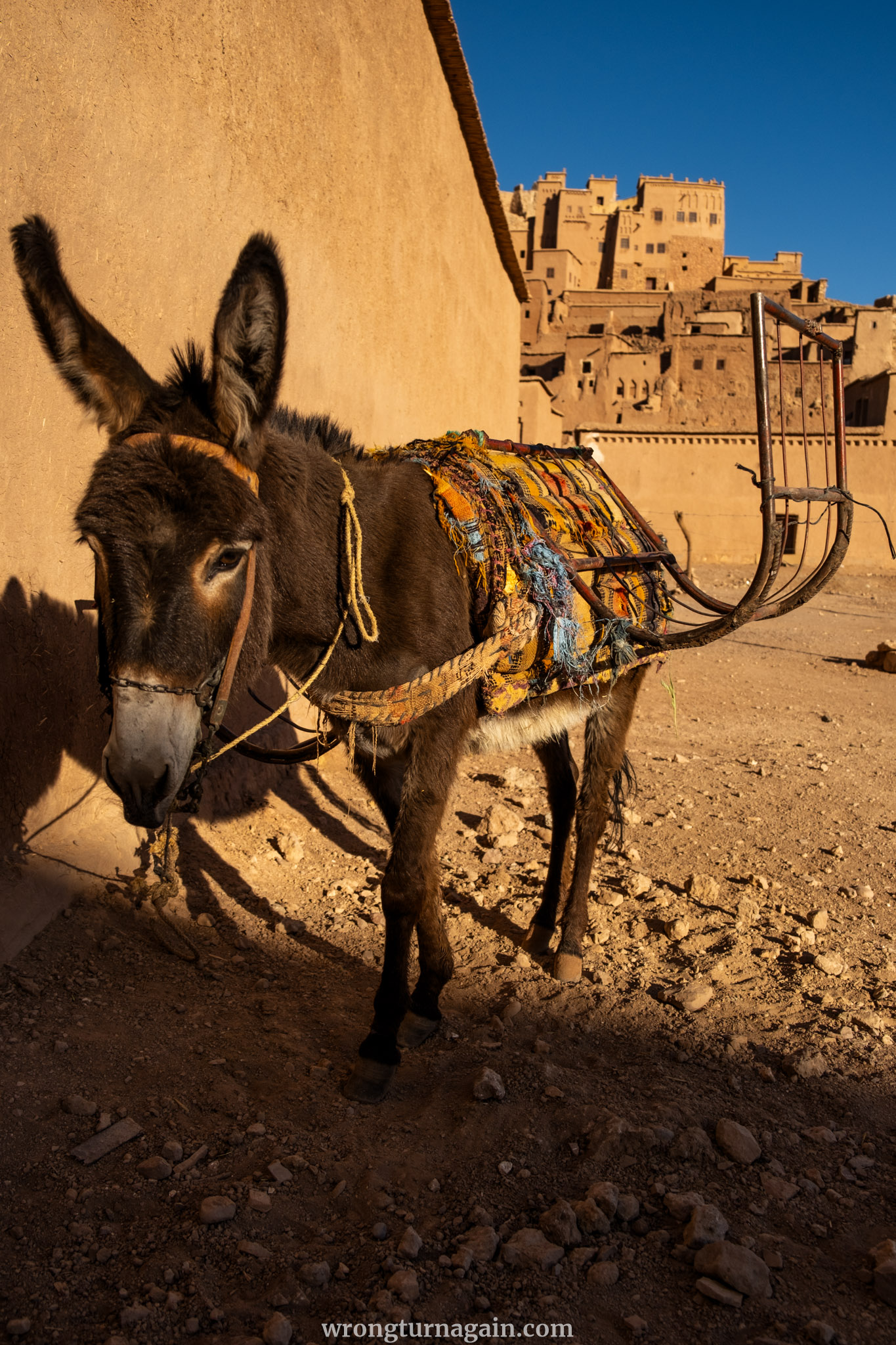 MA Ait Benhaddou DSF4835