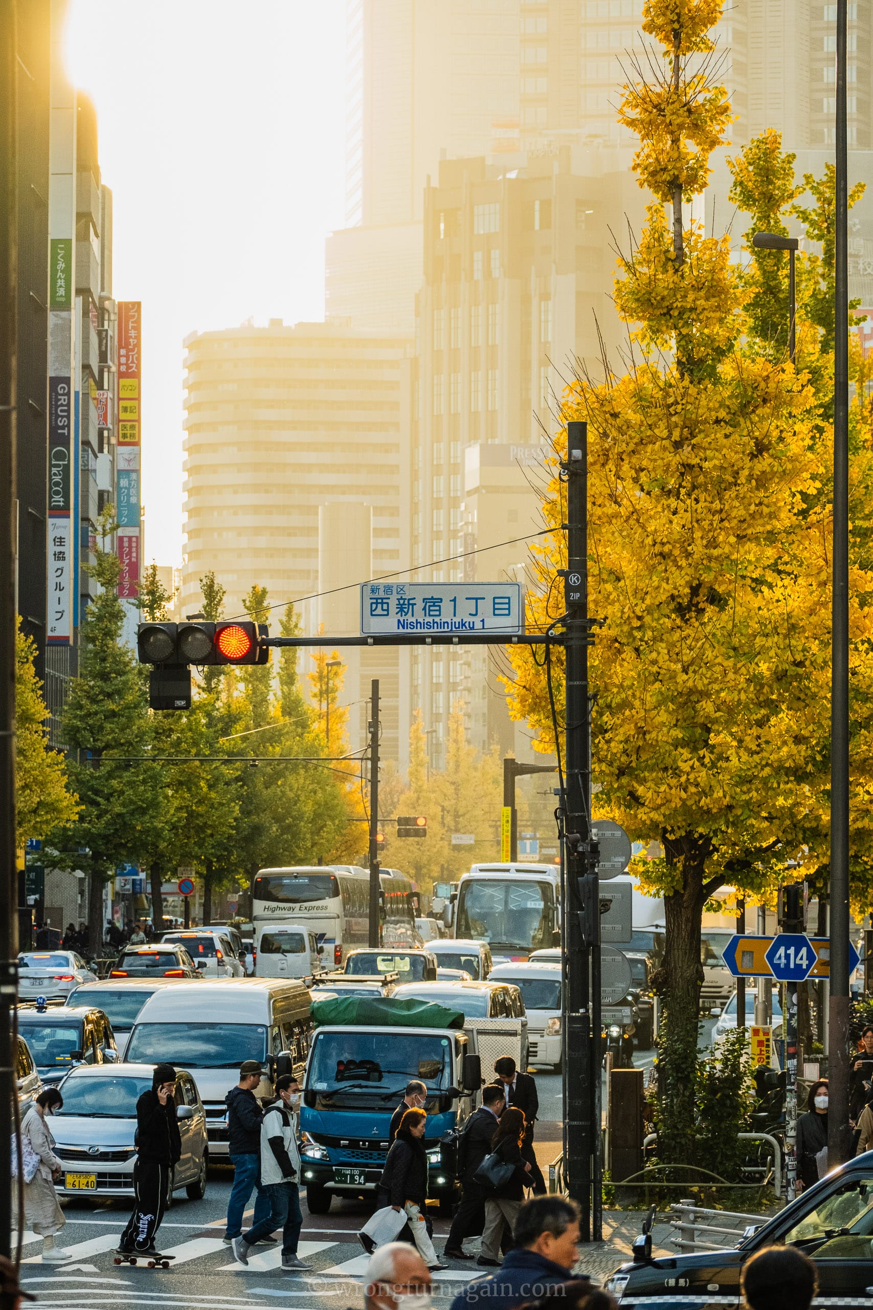 things to do in Tokyo