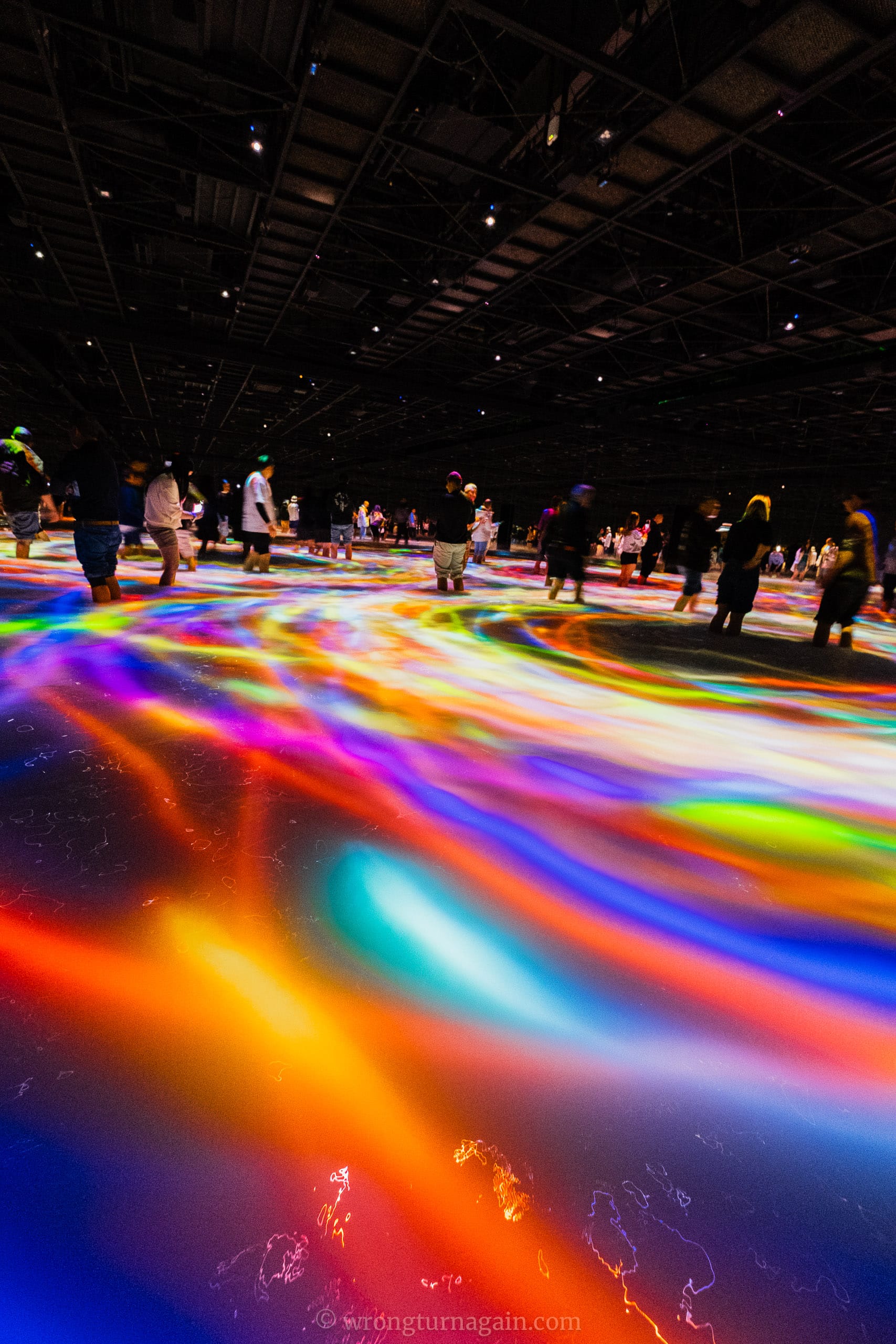 team lab tokyo best things to do