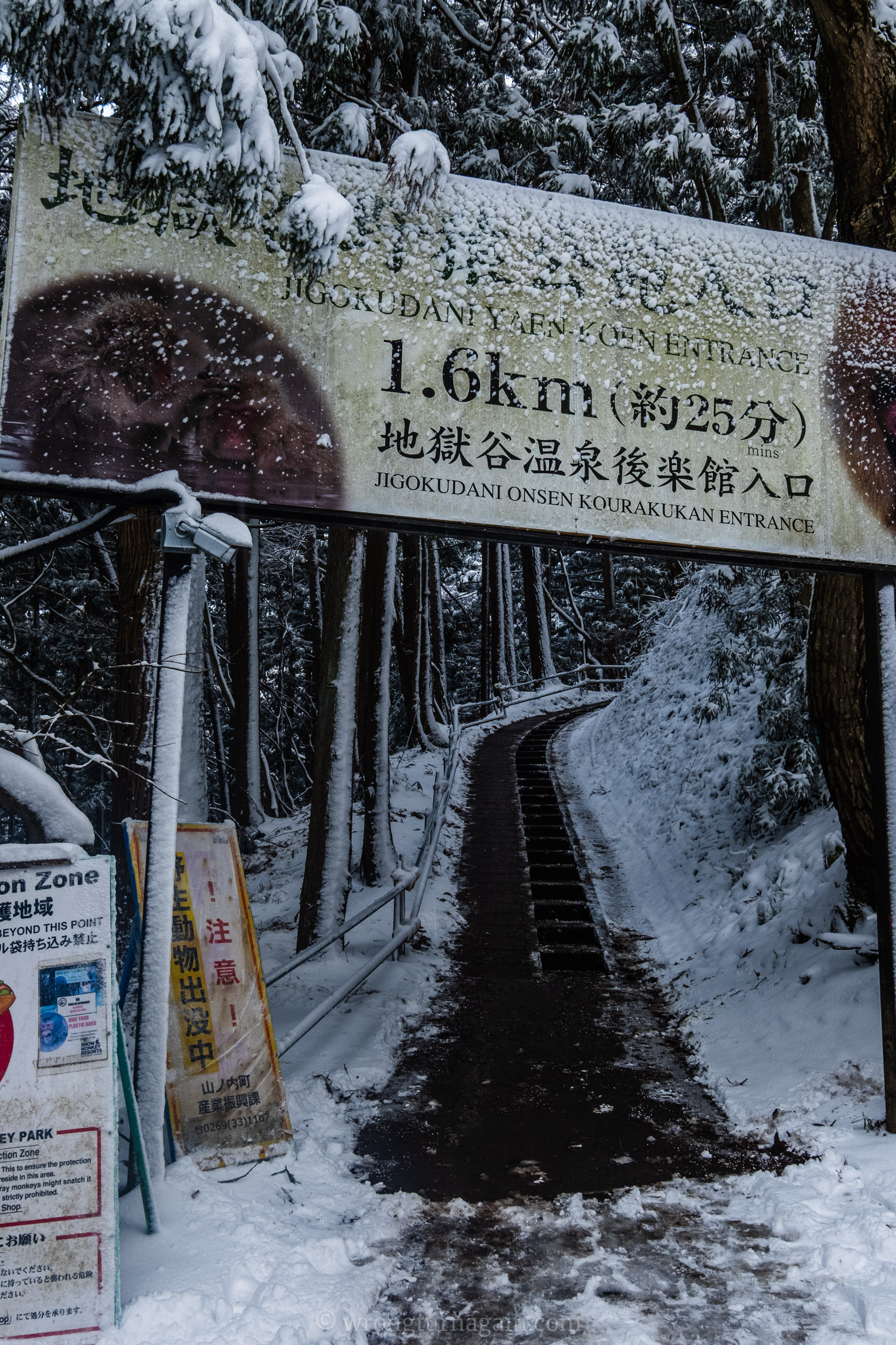 jigokudani snow monkey park