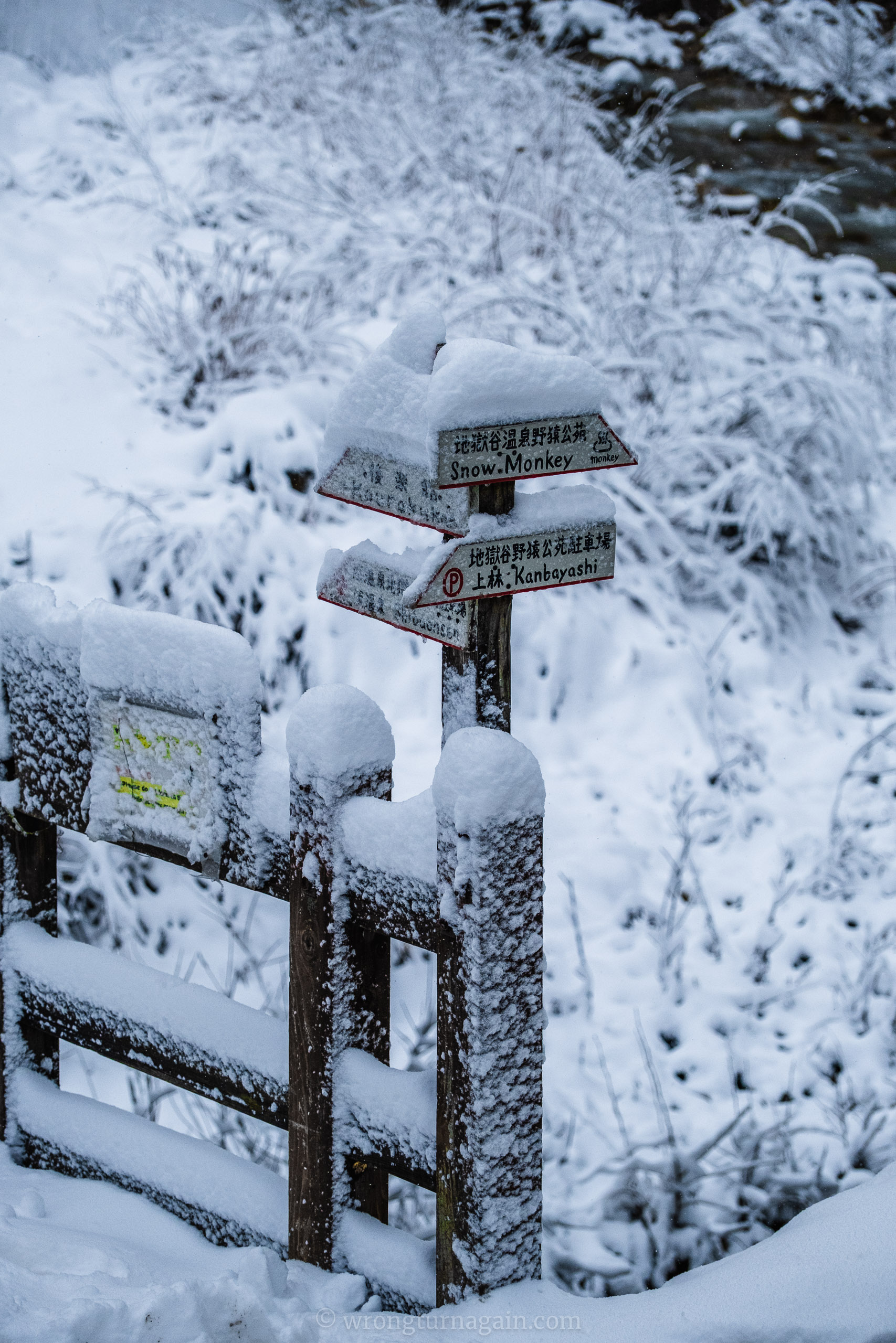 jigokudani snow monkey park