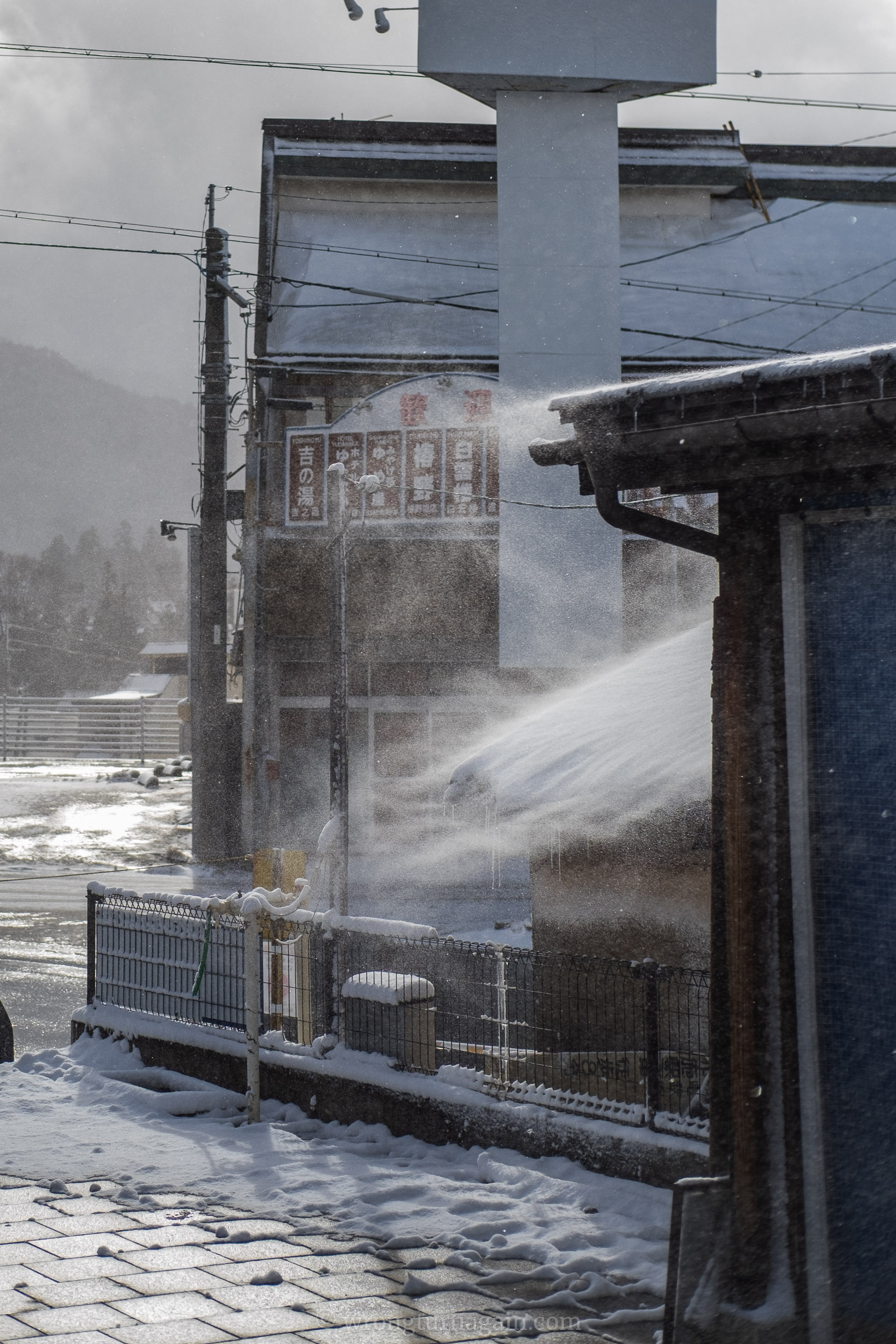 When to Visit the Snow Monkey Park
