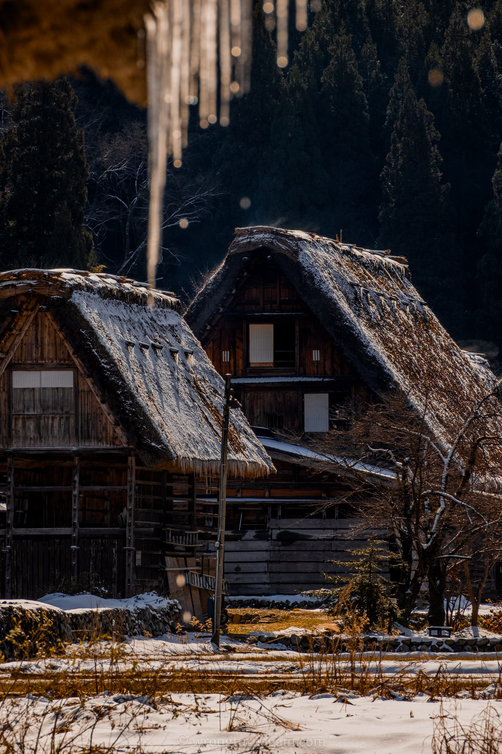 shirakawa-go things to do