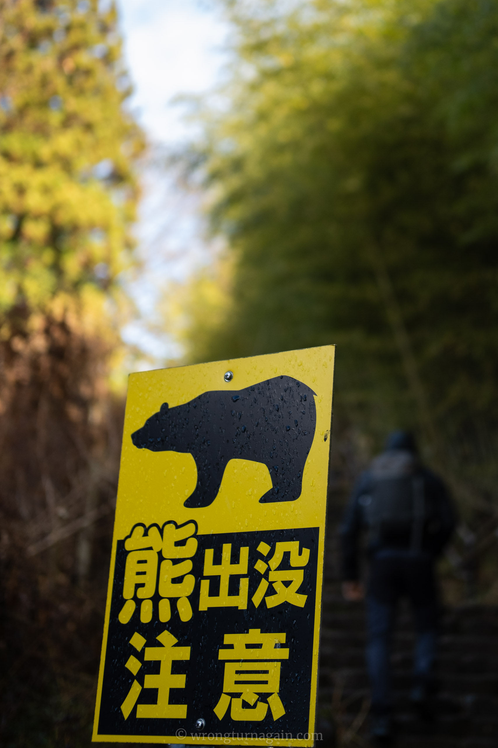 bears nakasendo trail dangerous