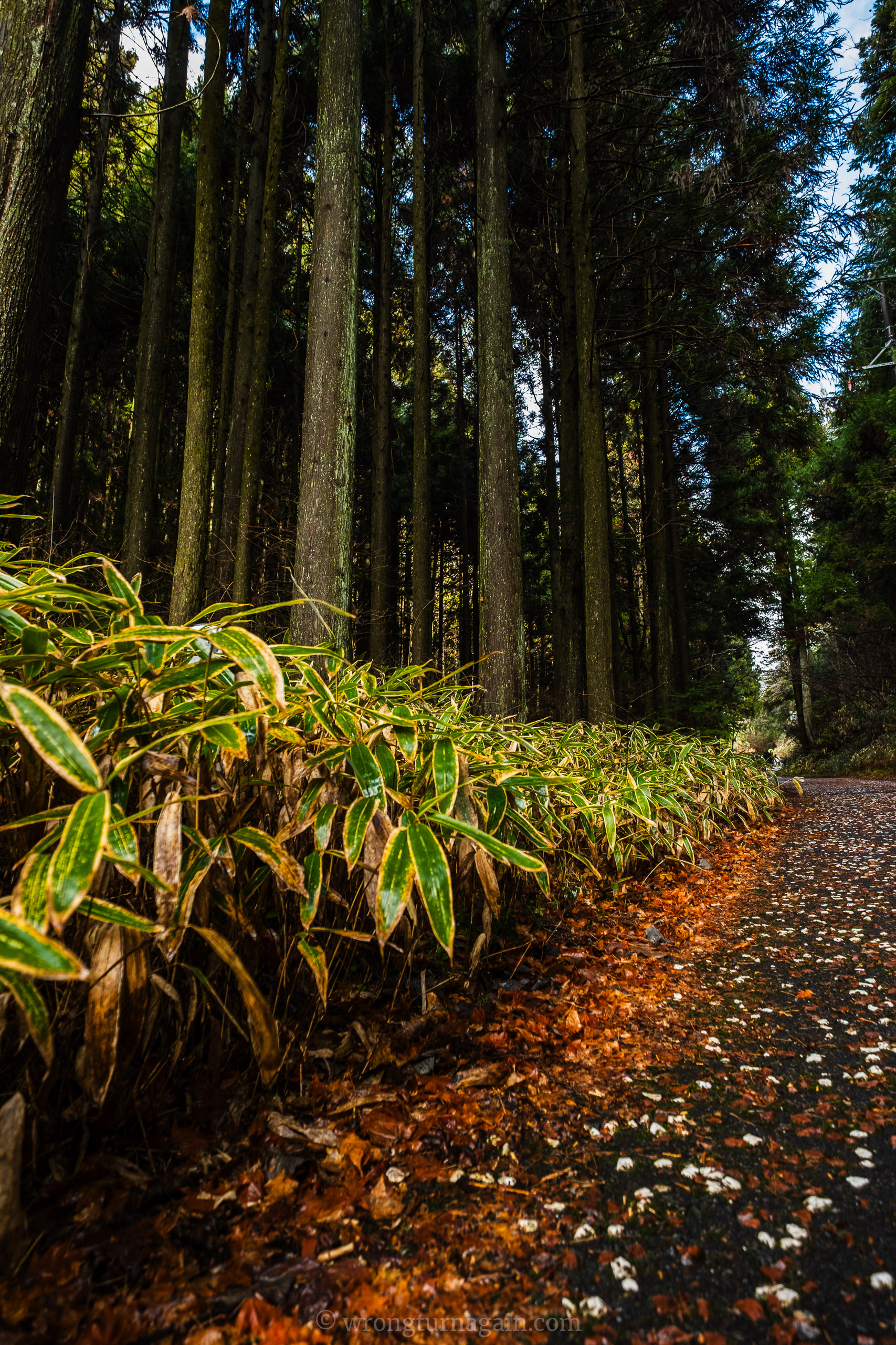 nakasendo trail japan