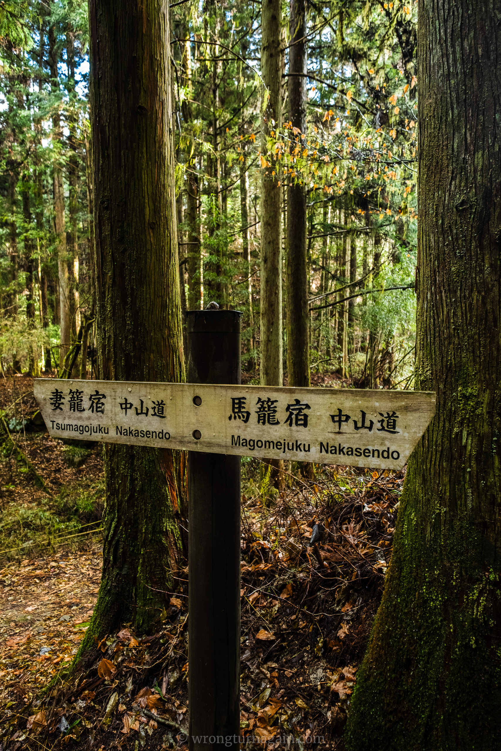 magome trail japn