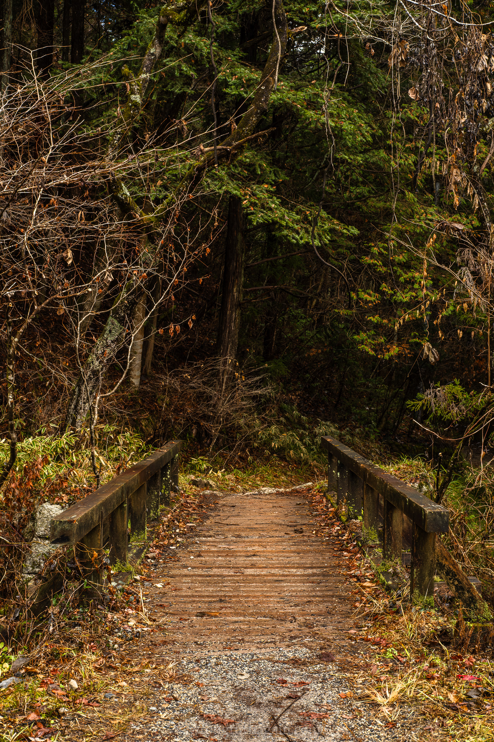 nakasendo trail route