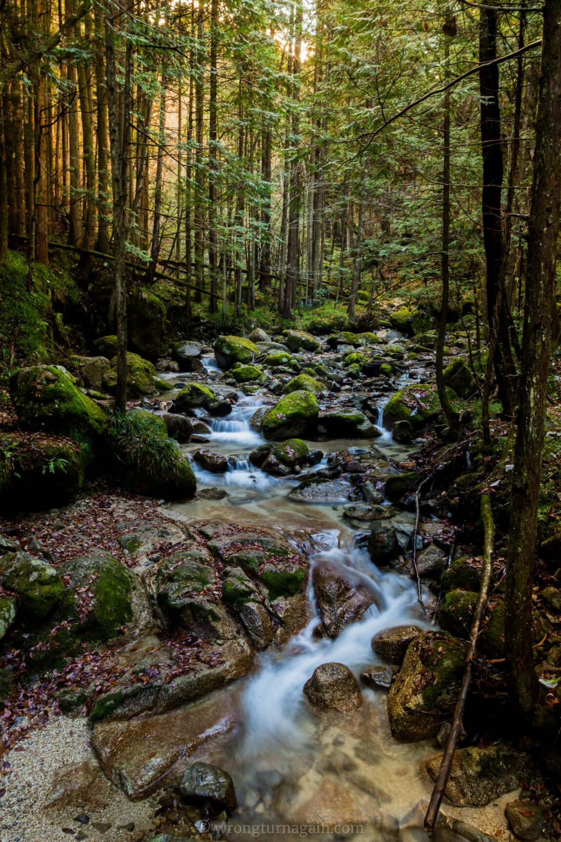 Nakasendo trail Japan