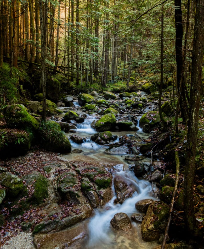 Nakasendo trail Japan