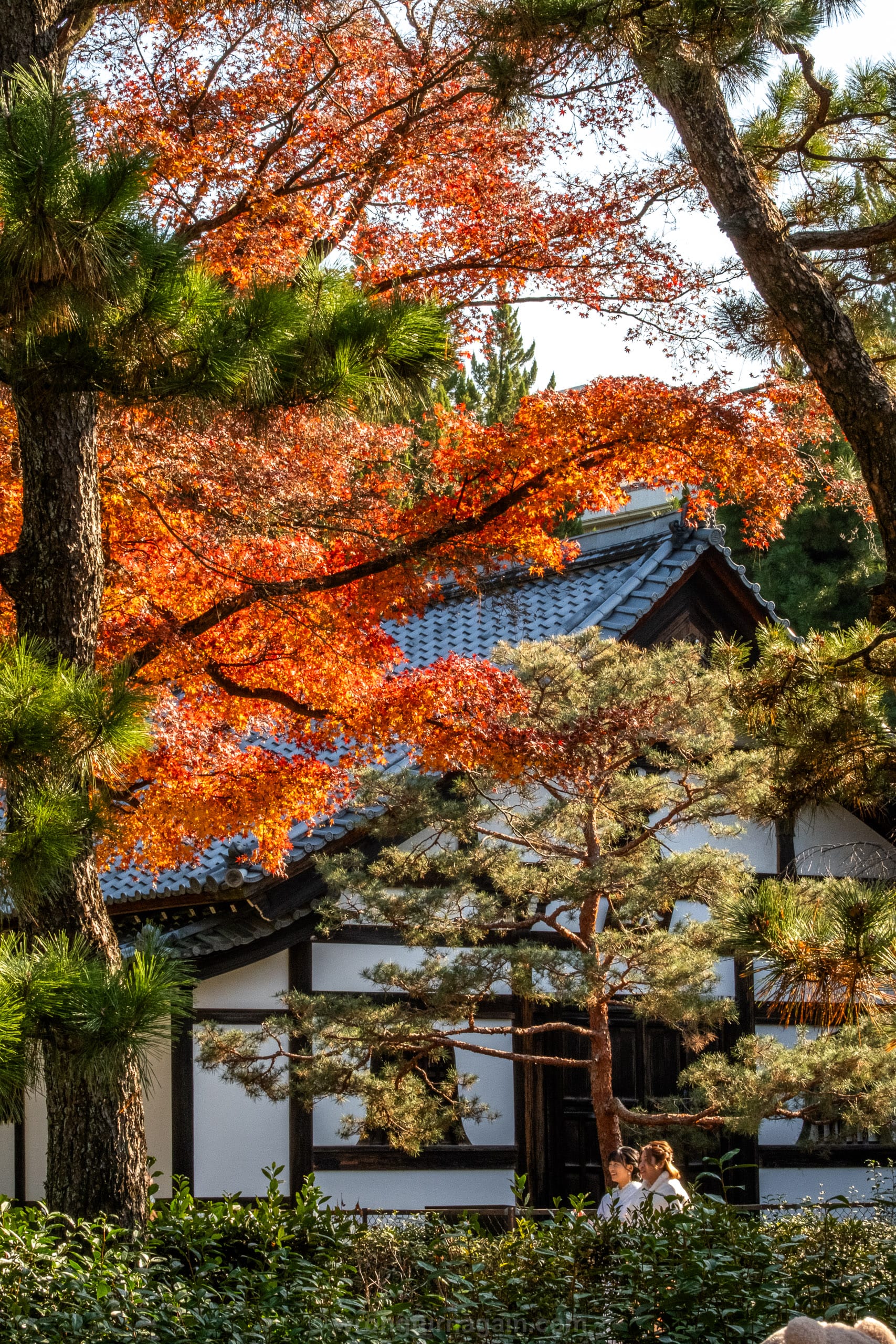best places to visit japan