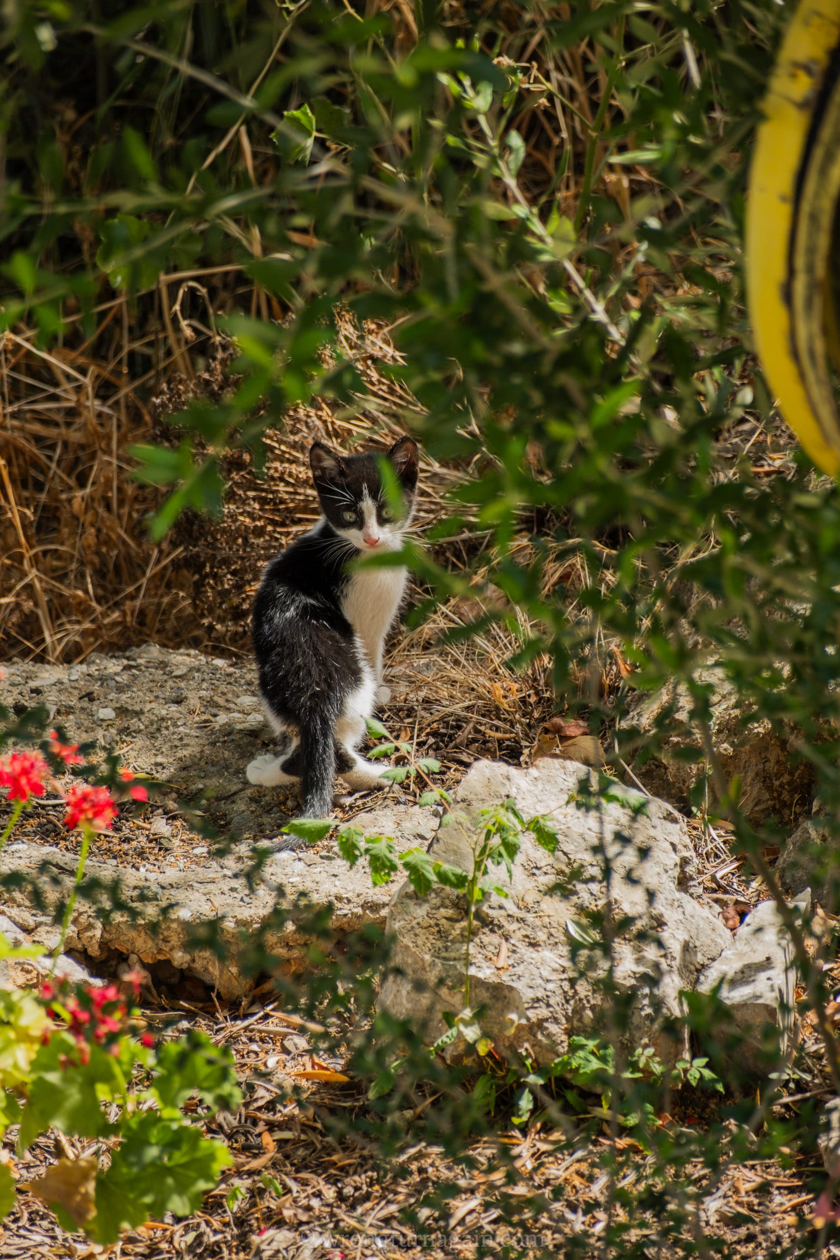 visit leonidio